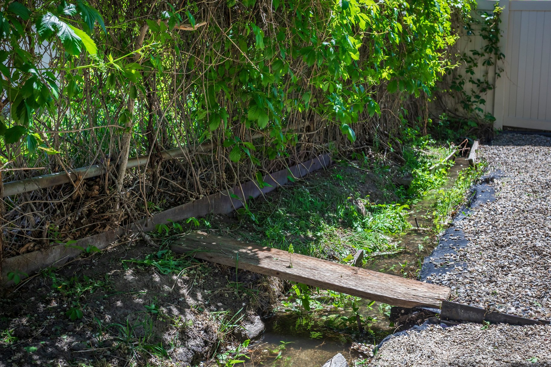  Perfectly Located Bungalow with Rare Water Rights, Huge Yard & Breathtaking View - 物件實景