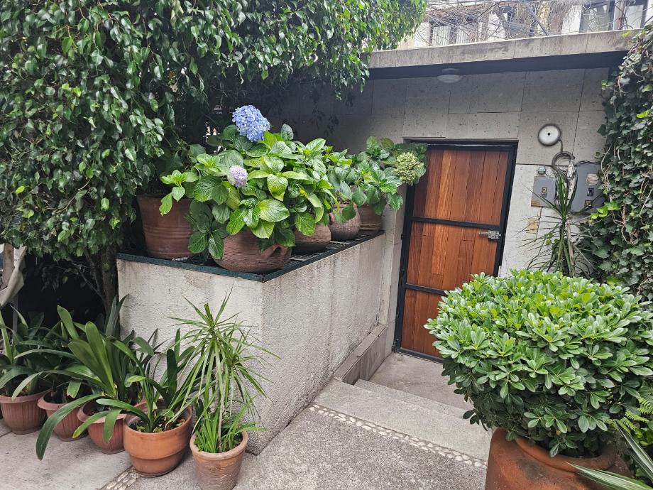 Palo Santo, Miguel Hidalgo, Ciudad de México, 11950, Mexico, 6 Bedrooms Bedrooms, ,2 BathroomsBathrooms,Residential,For Sale,Palo Santo,1627734