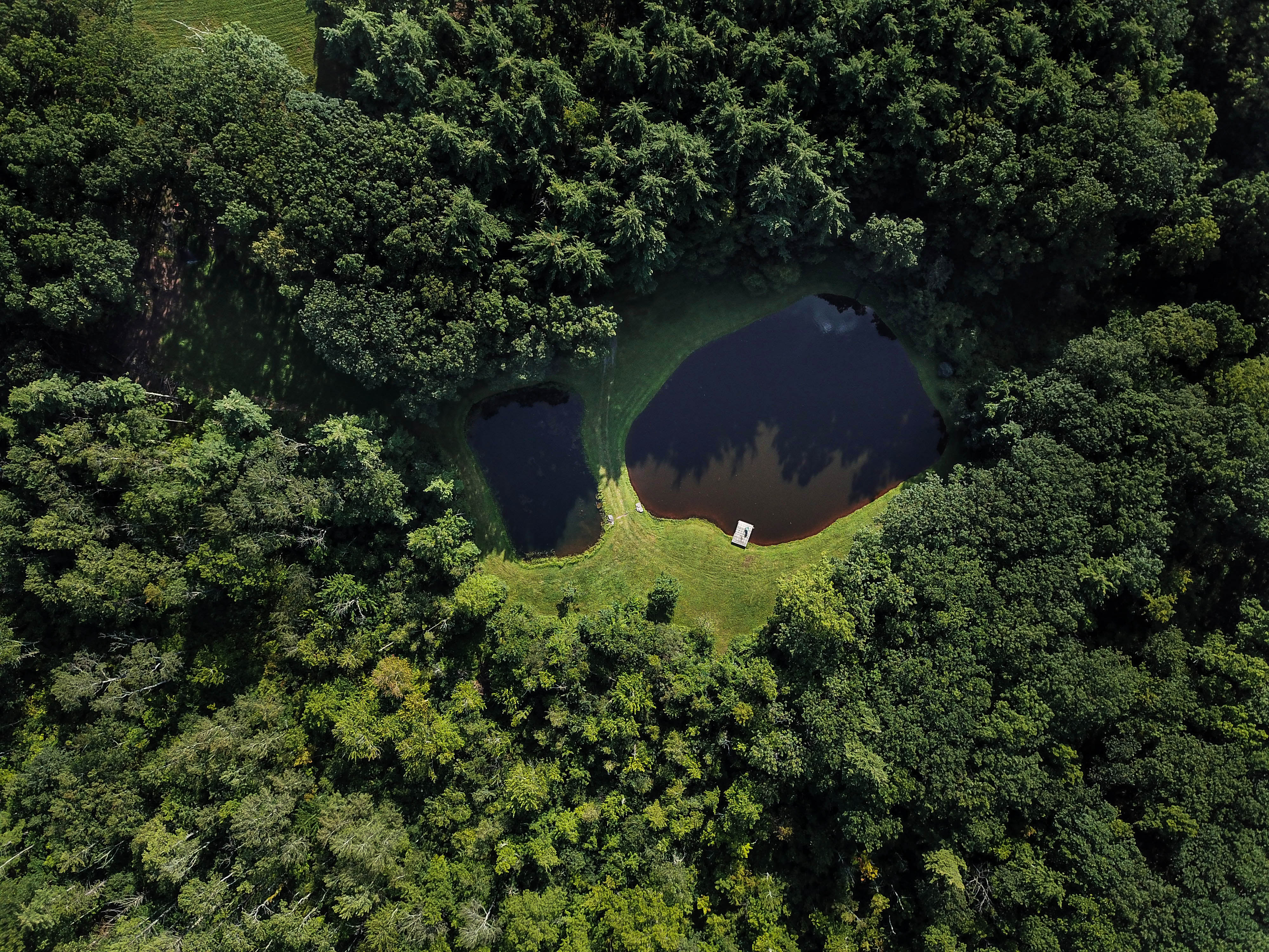 Acra, New York, 12405, United States, 3 Bedrooms Bedrooms, ,2 BathroomsBathrooms,Residential,For Sale,2002546