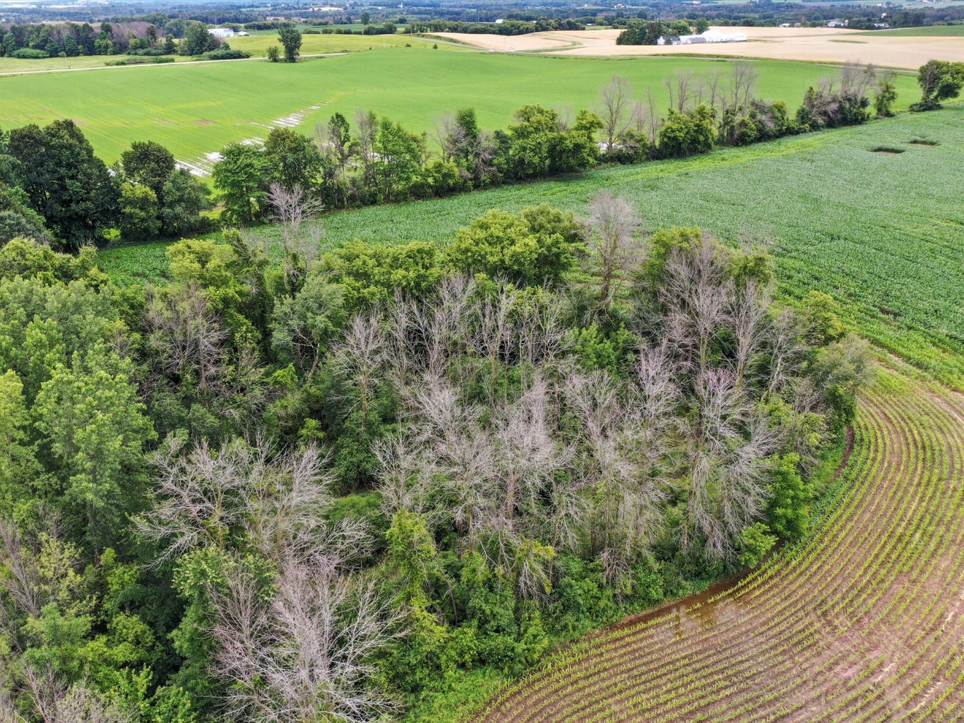 Franklin, Wisconsin, 54247, United States, ,Residential,For Sale,1895286