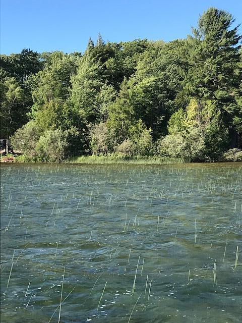 Grayling, Michigan, 49738, United States, ,Residential,For Sale,1845615