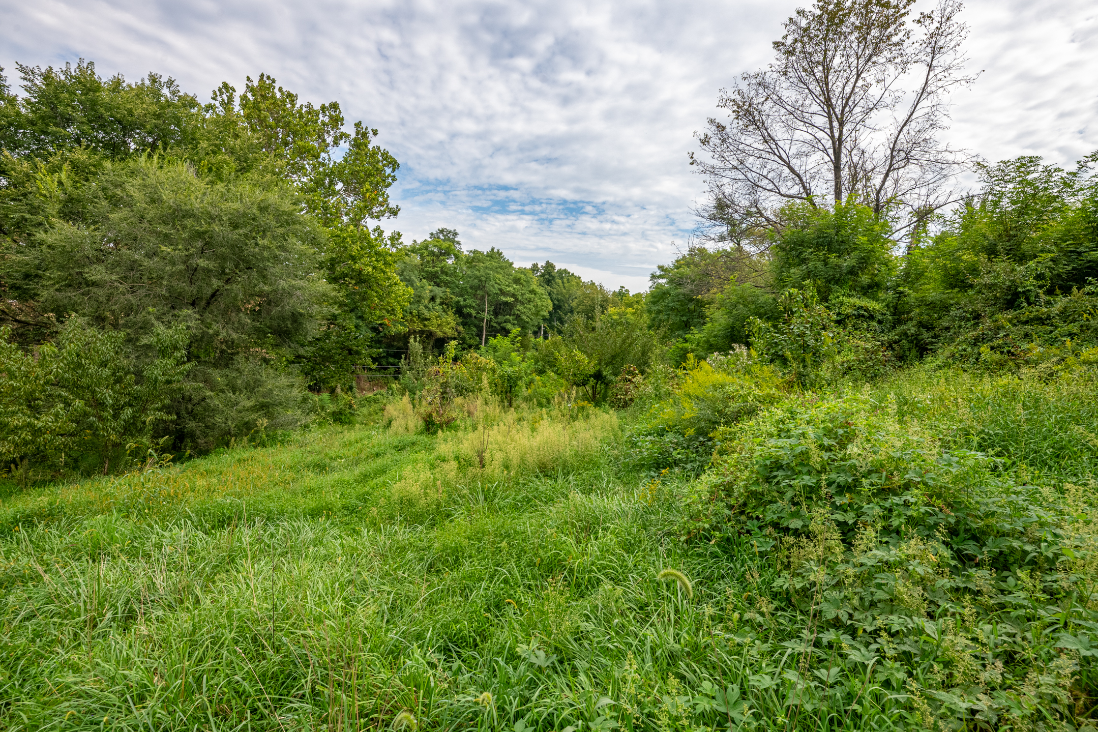  0 River Rd, Pequea, PA 17565 - 物件實景