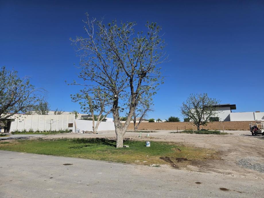 BUFALOS, Torreón, Coahuila de Zaragoza, 27105, Mexico, 1 Bedroom Bedrooms, ,Residential,For Sale,BUFALOS,1616965