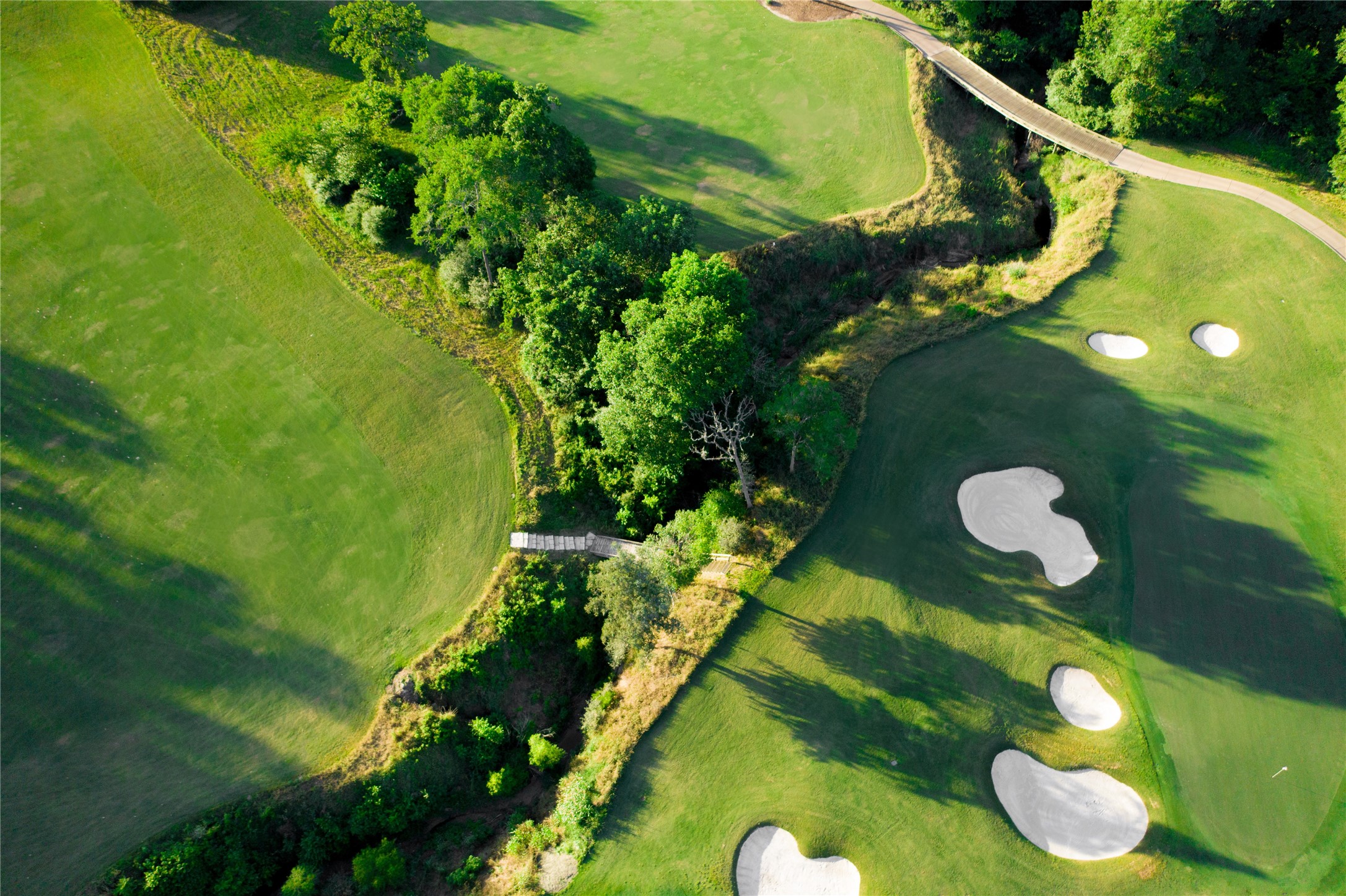 Bryan, Texas, 77807, United States, ,Land,For Sale,1986491