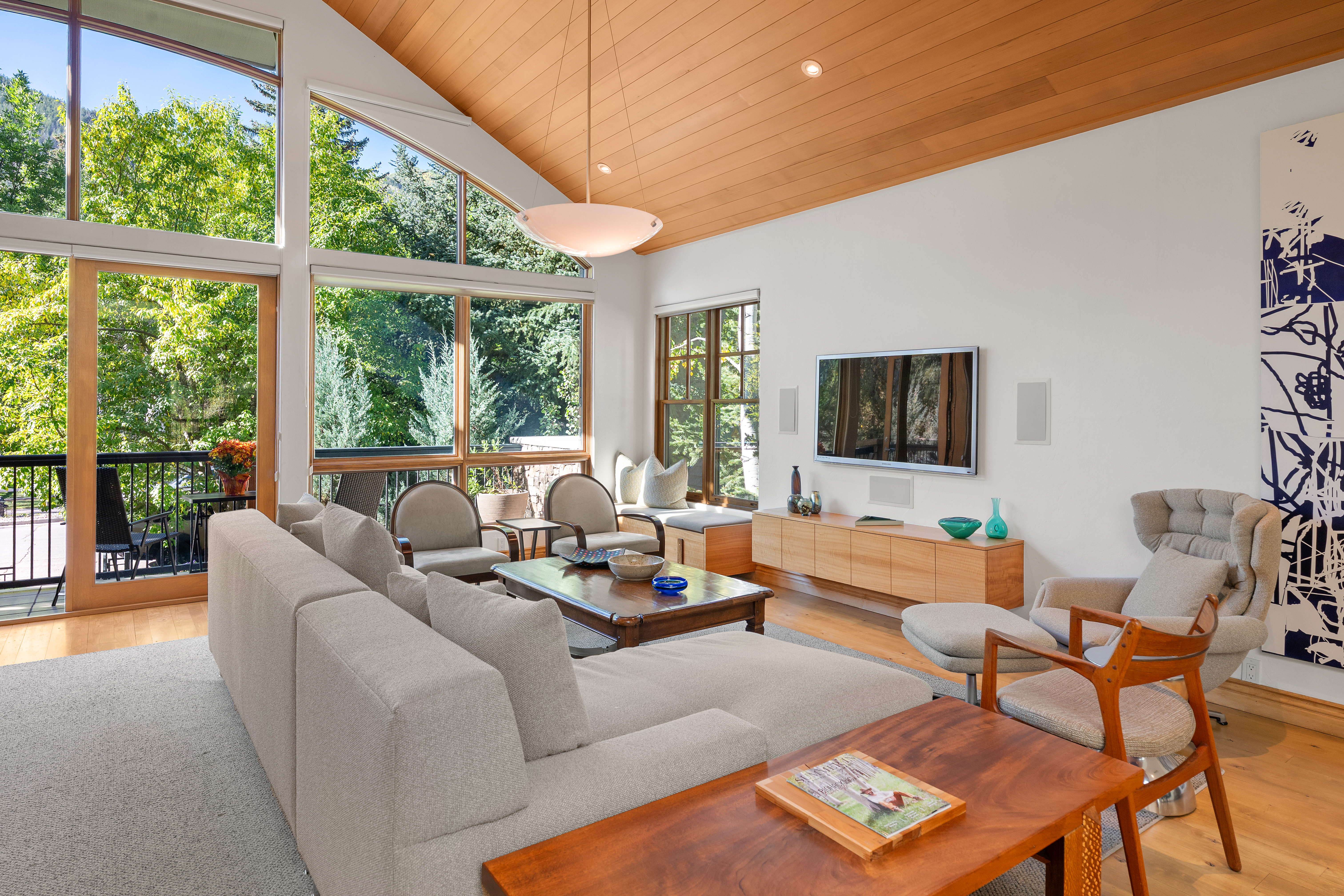  960 E Hopkins Avenue, Aspen, CO, 81611 - 物件實景
