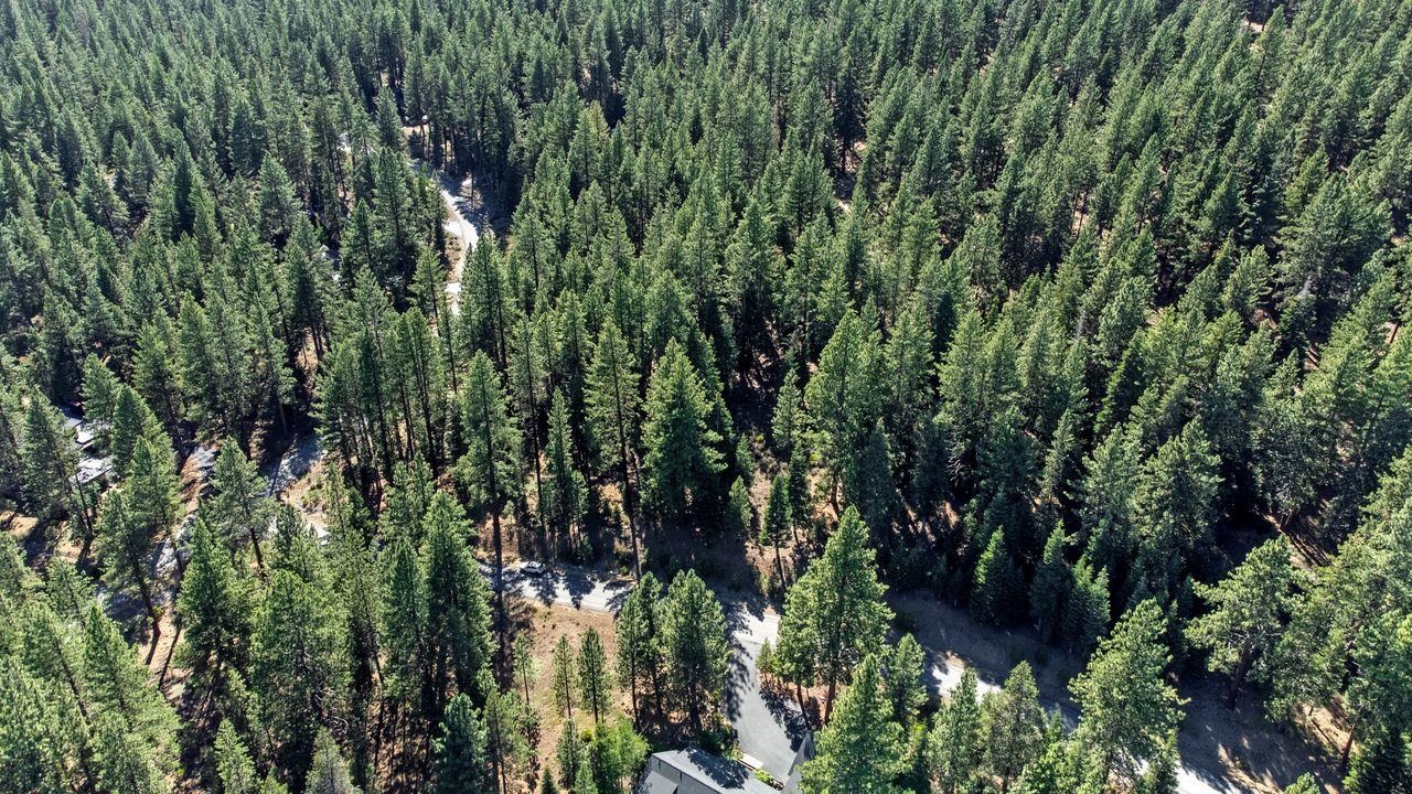 Truckee, California, 96161, United States, ,Land,For Sale,1818006