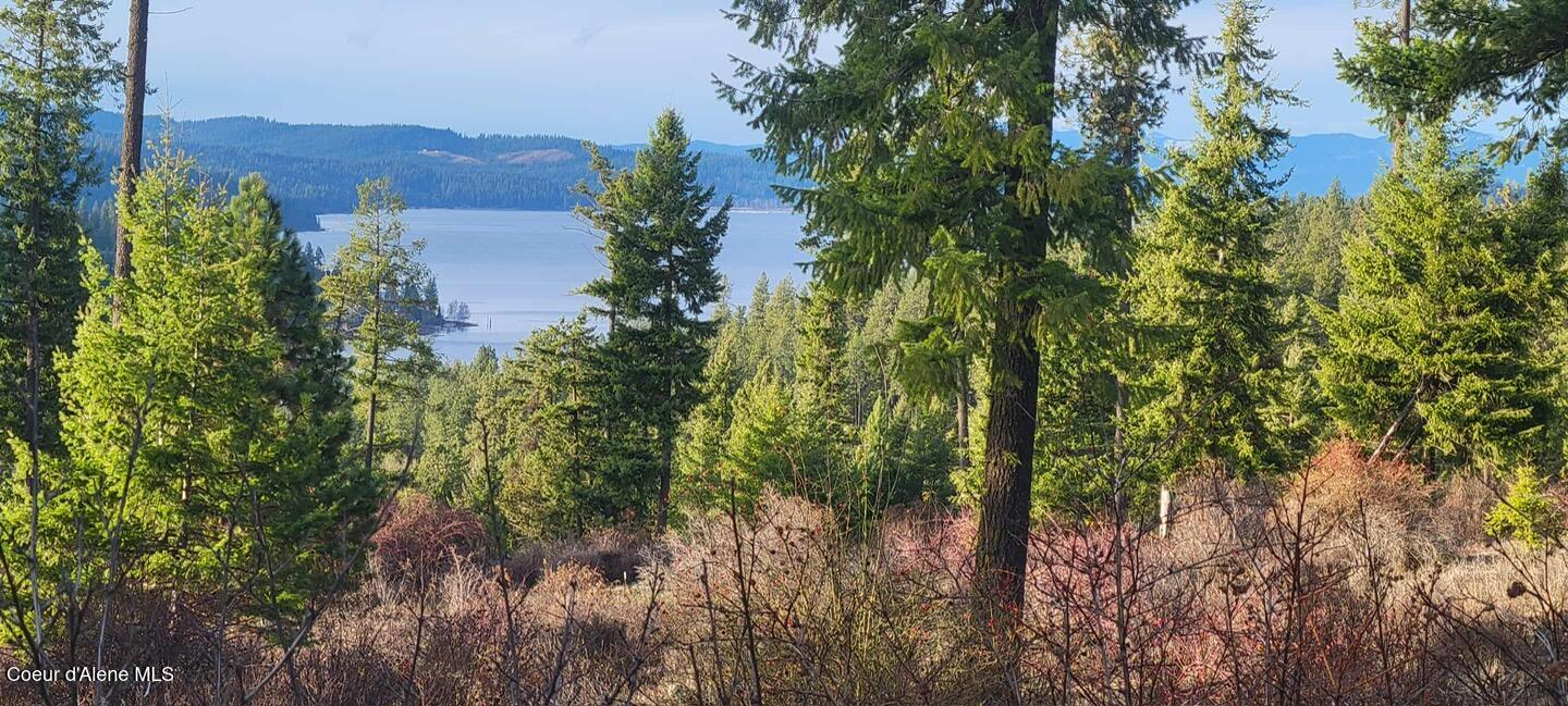 Harrison, Idaho, 83833, United States, 1 Bedroom Bedrooms, ,1 BathroomBathrooms,Residential,For Sale,1980772