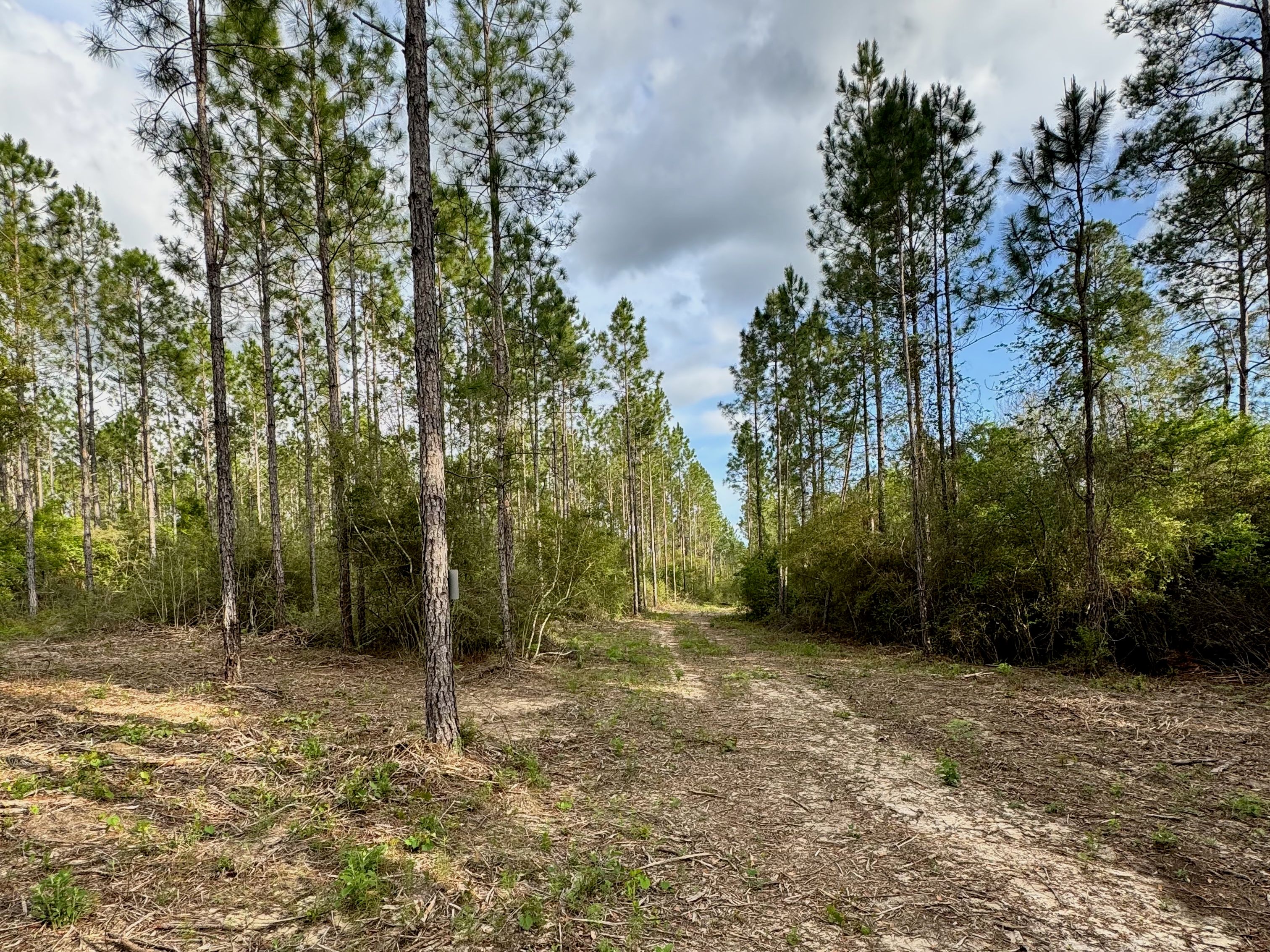  Creekside Estate Homesite  14.88 Acres - 物件實景