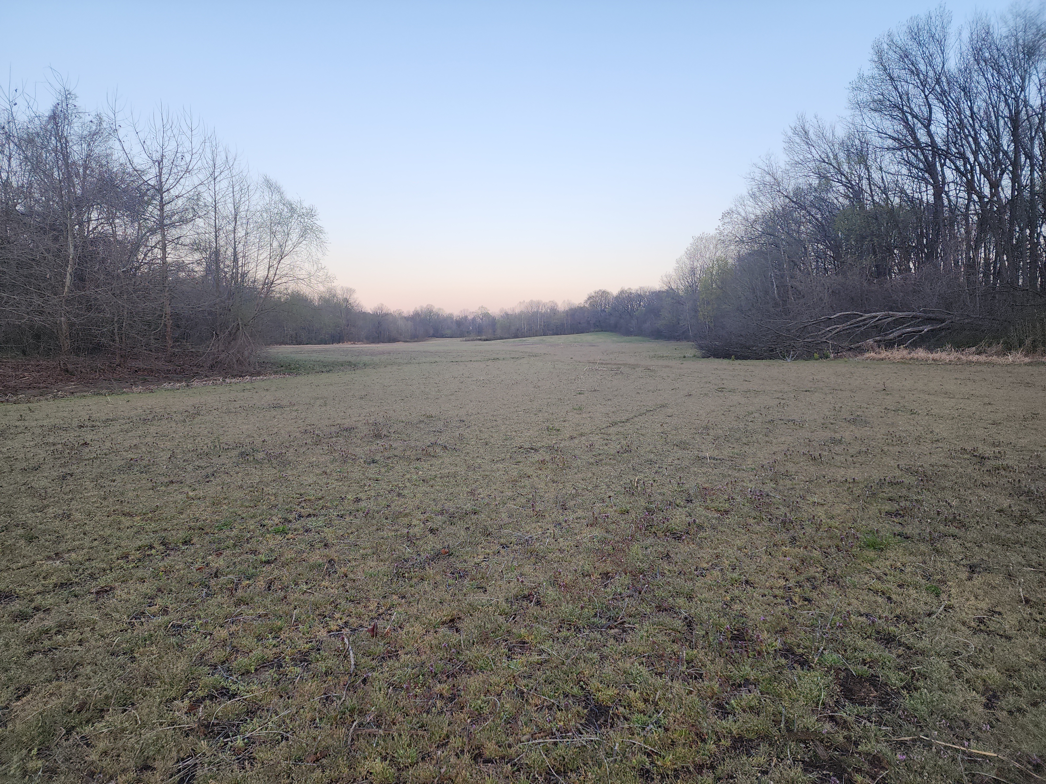 Union City, Tennessee, 38261, United States, ,Land,For Sale,1982811