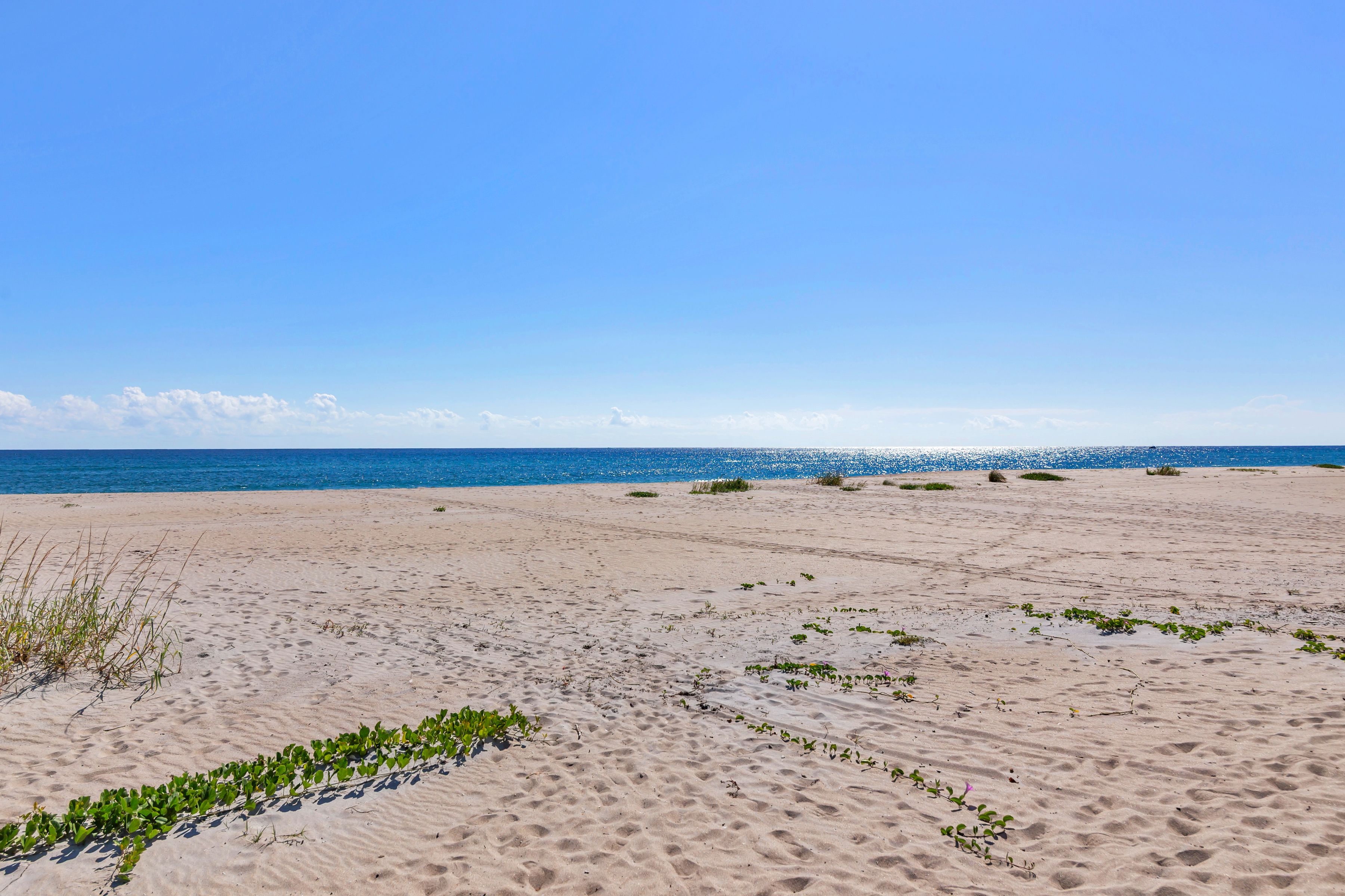  2545 S Ocean Boulevard 3140 - 物件實景