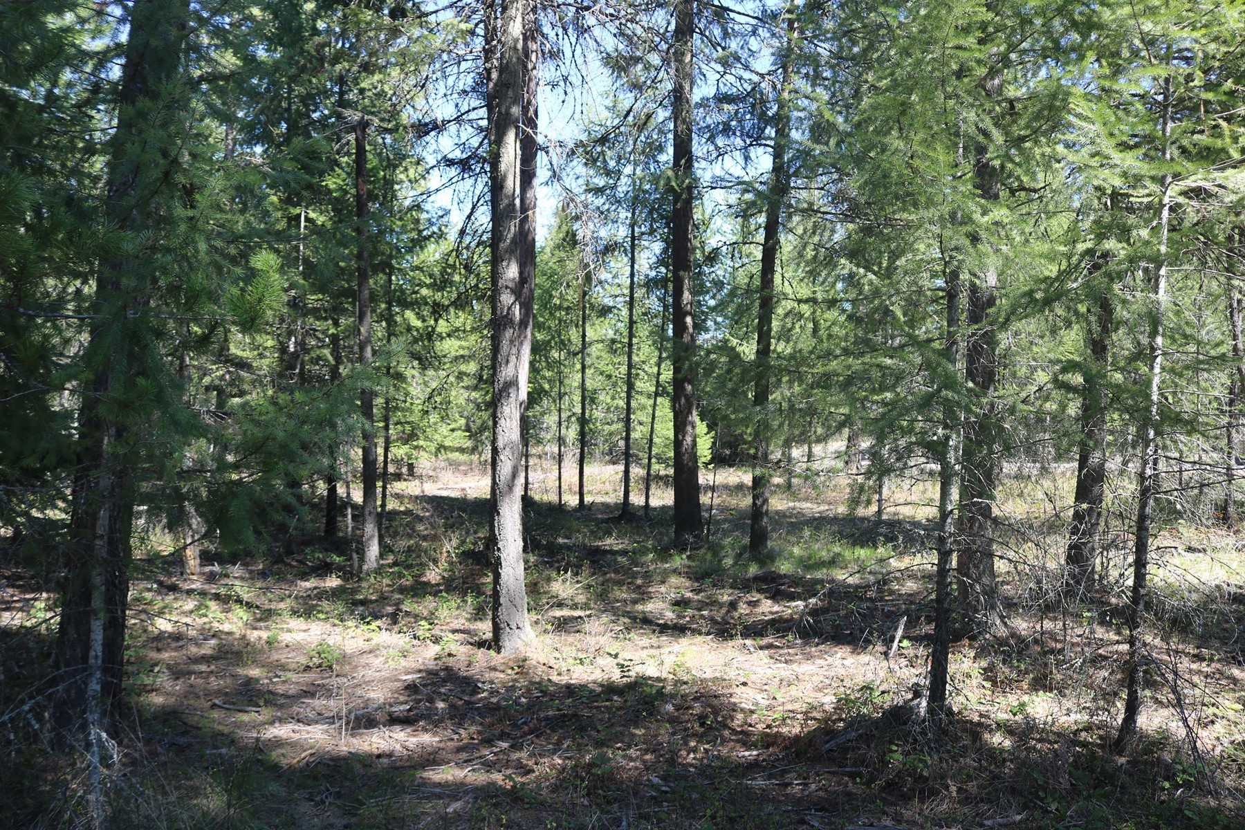  Community Waterfront Parcel - 物件實景