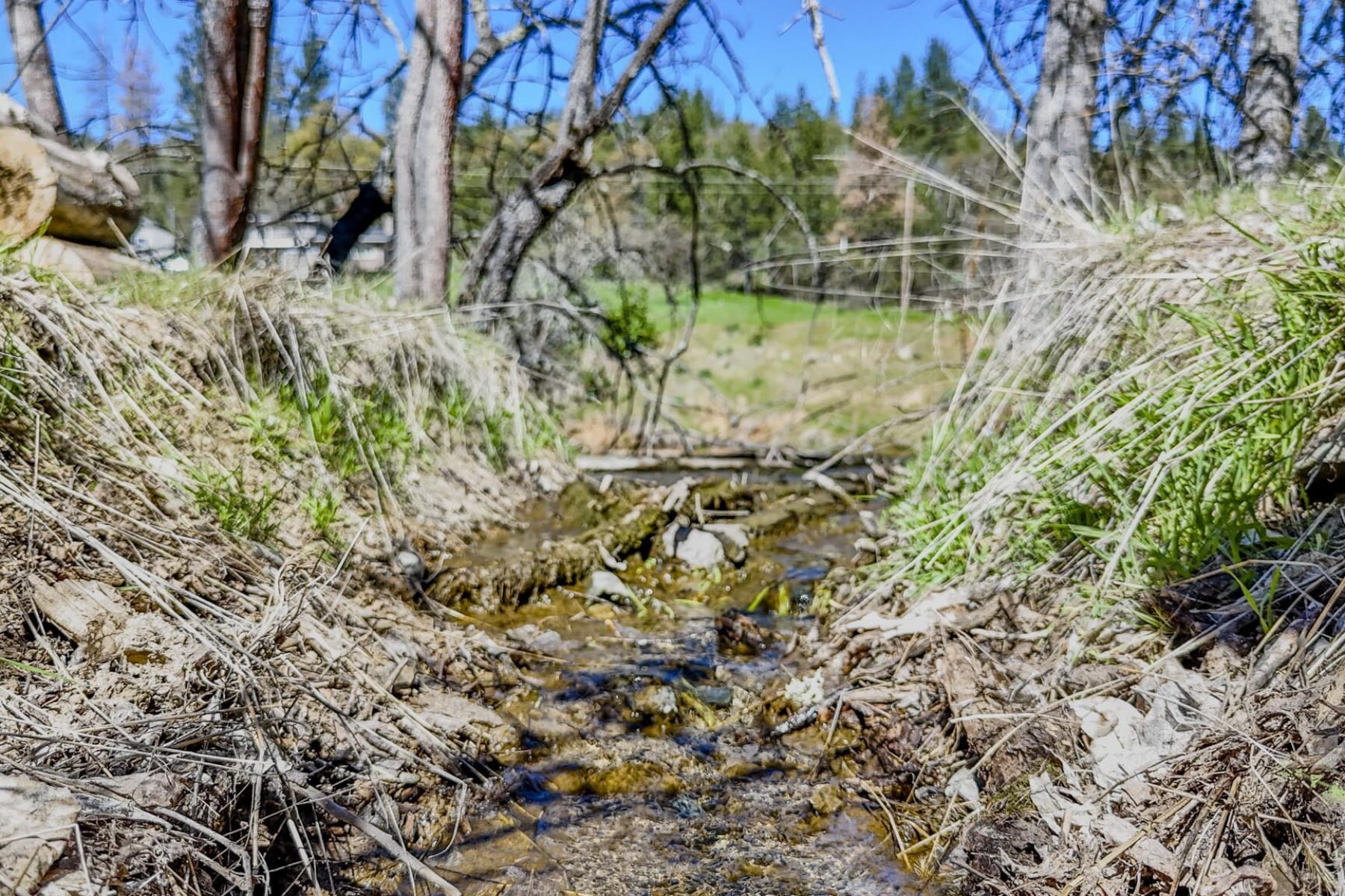  4131 W Griffin Creek Road Medford, OR 97501 - 物件實景