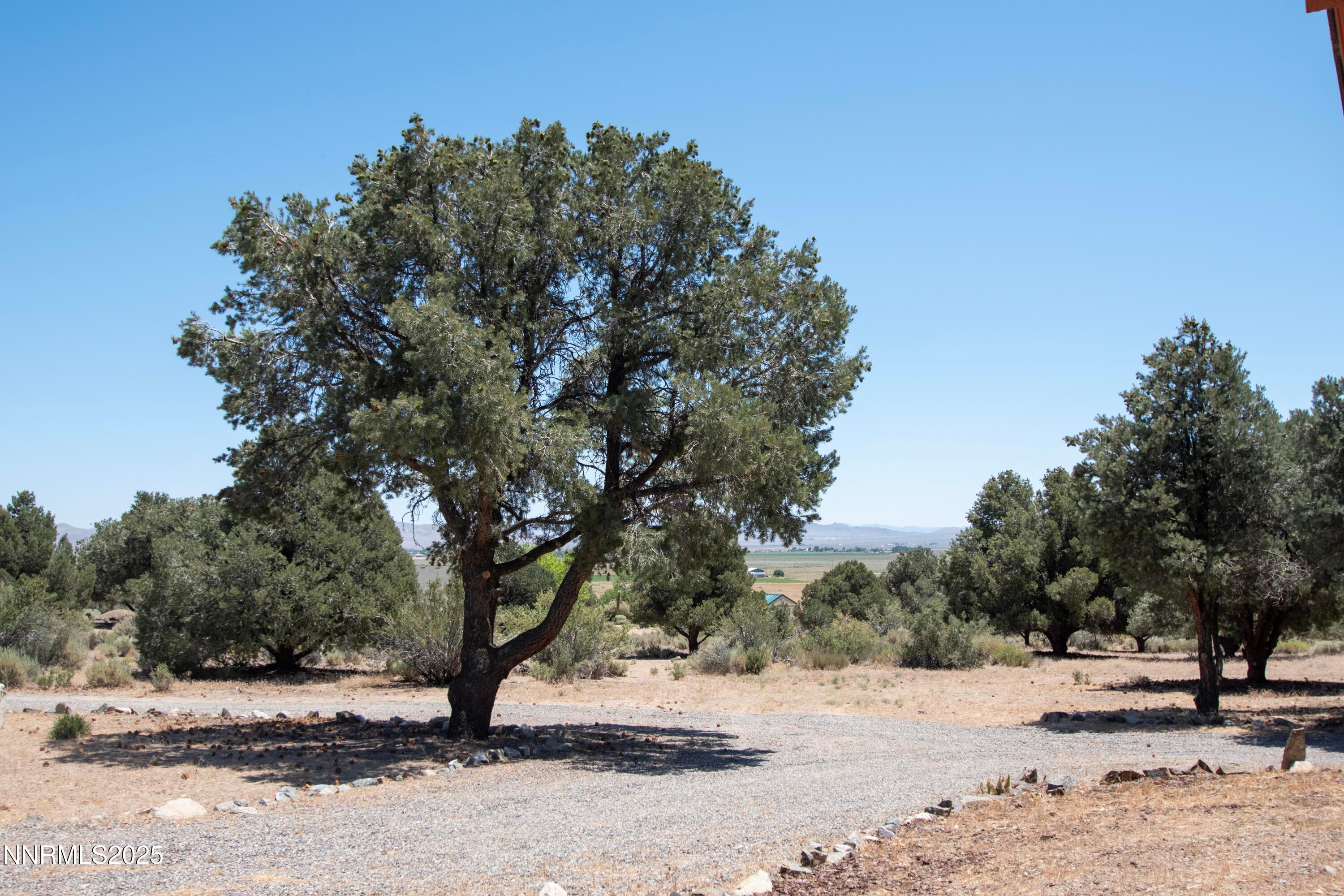 Wellington, Nevada, 89444, United States, 2 Bedrooms Bedrooms, ,1 BathroomBathrooms,Residential,For Sale,1876918