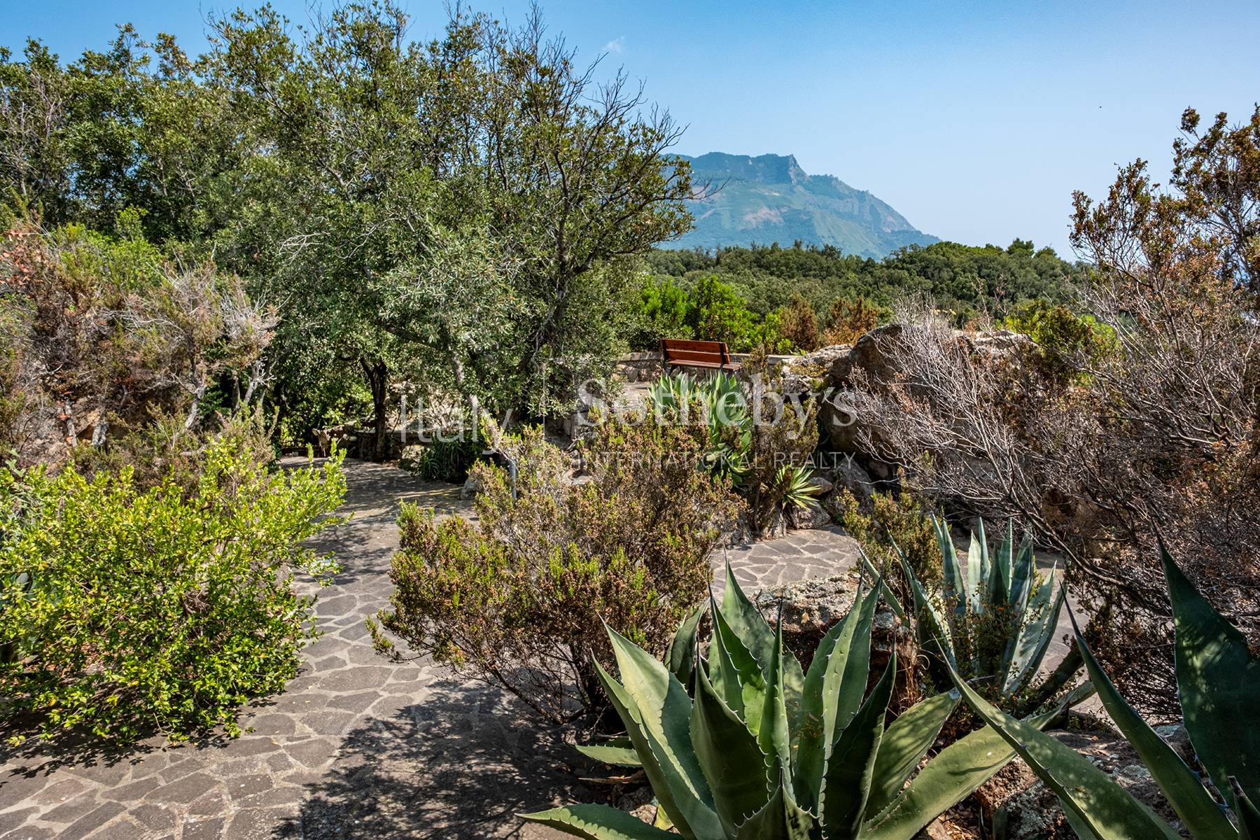  Charming seafront villa in Punta Caruso - 物件實景