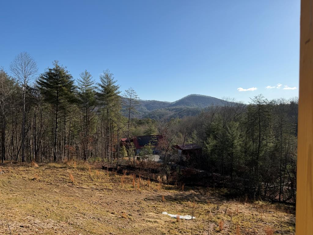 Mineral Bluff, Georgia, 30559, United States, 3 Bedrooms Bedrooms, ,3 BathroomsBathrooms,Residential,For Sale,2006595