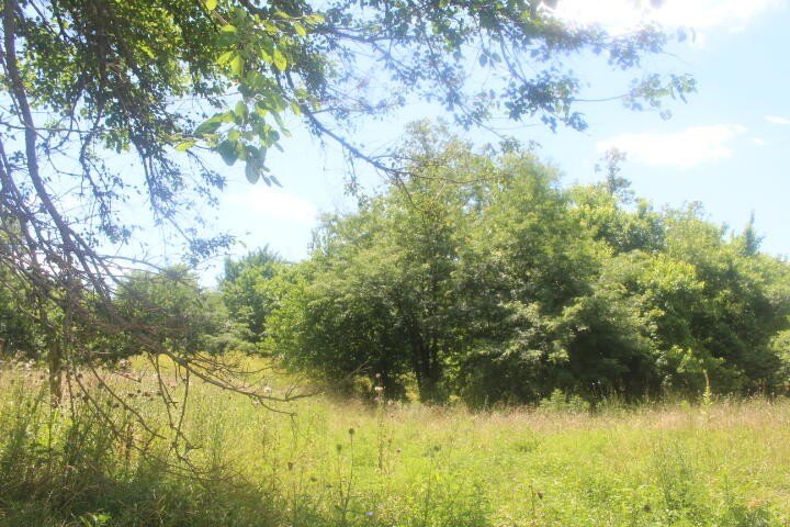 Polk, Missouri, 65727, United States, ,Land,For Sale,1980569