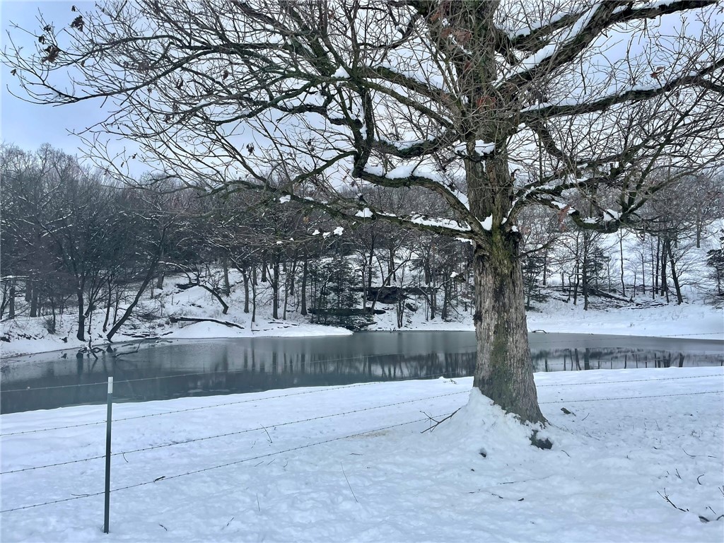 Berryville, Arkansas, 72616, United States, 6 Bedrooms Bedrooms, ,4 BathroomsBathrooms,Residential,For Sale,1988341