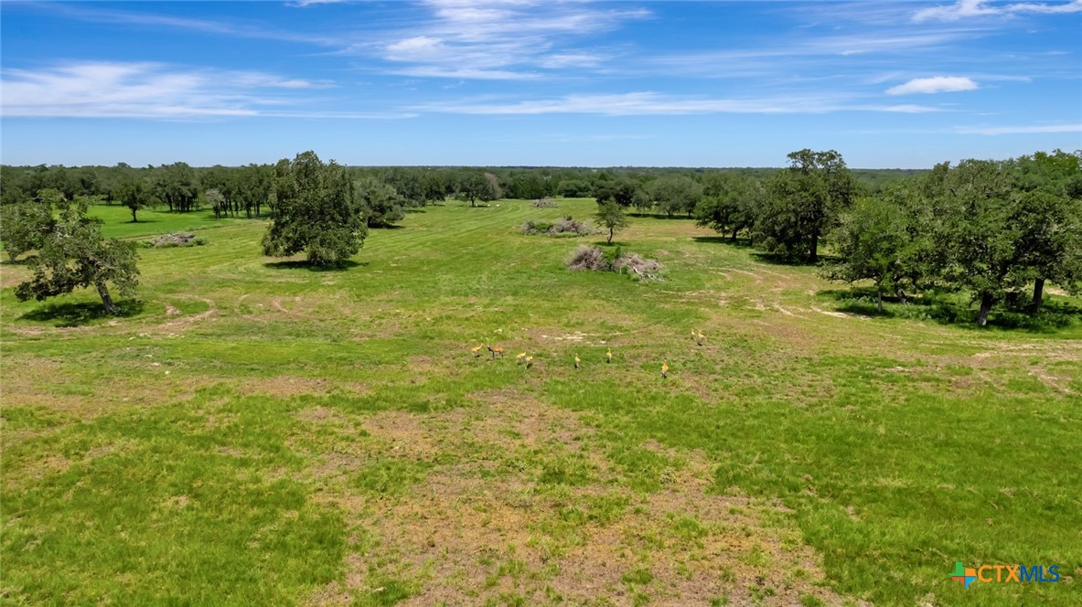 13320 US Highway 77, Hallettsville, Texas, 77964, United States, ,Land,For Sale,13320 US Highway 77,1614755
