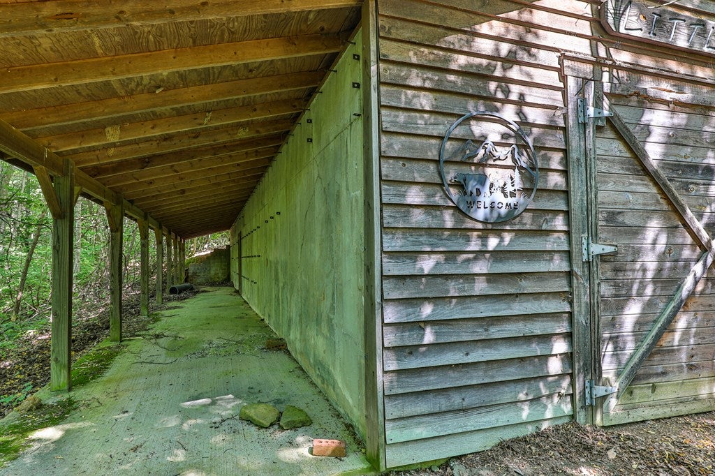 Cherry Log, Georgia, 30522, United States, ,Land,For Sale,1858995