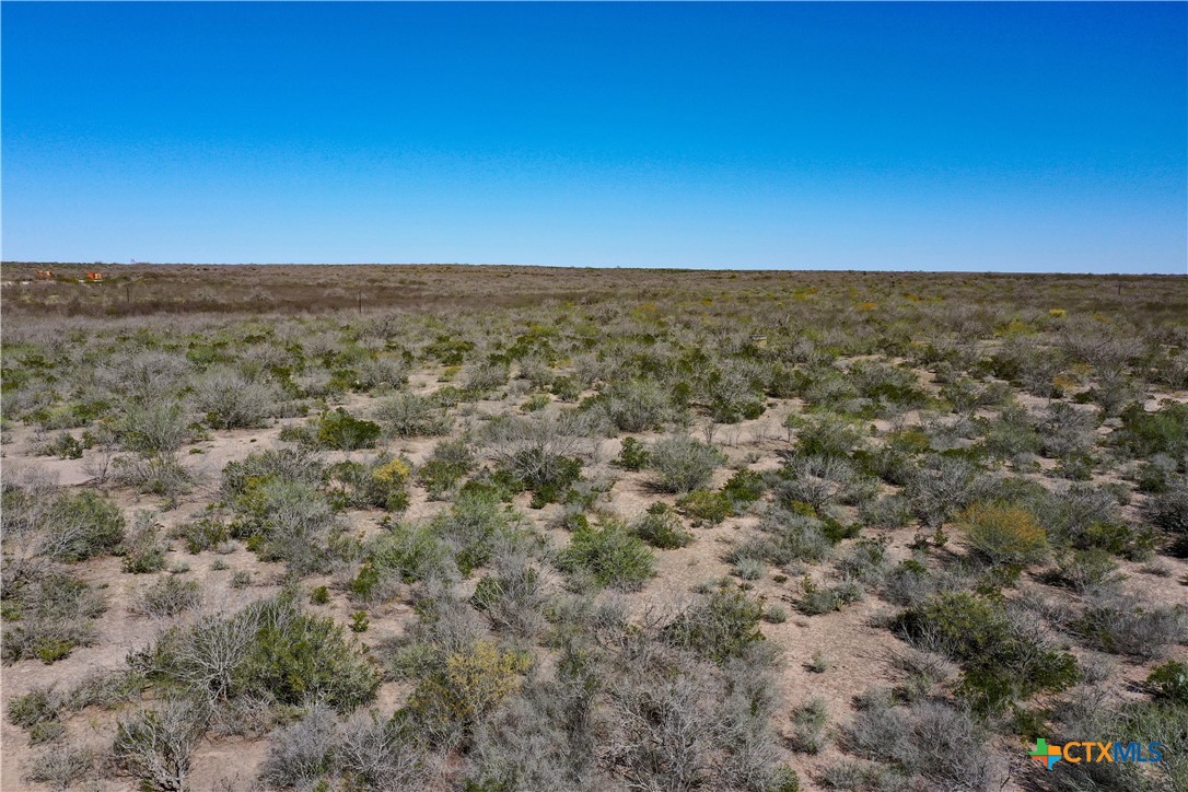 George West, Texas, 78022, United States, ,Land,For Sale,1738703