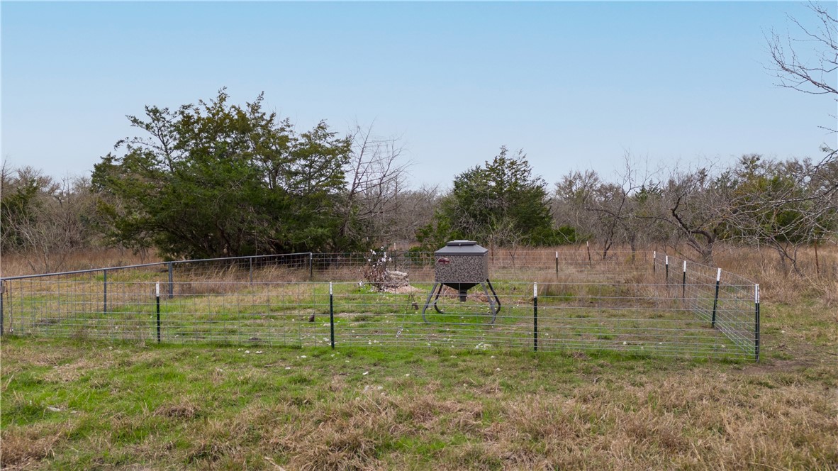 Thornton, Texas, 76687, United States, ,Land,For Sale,2003074