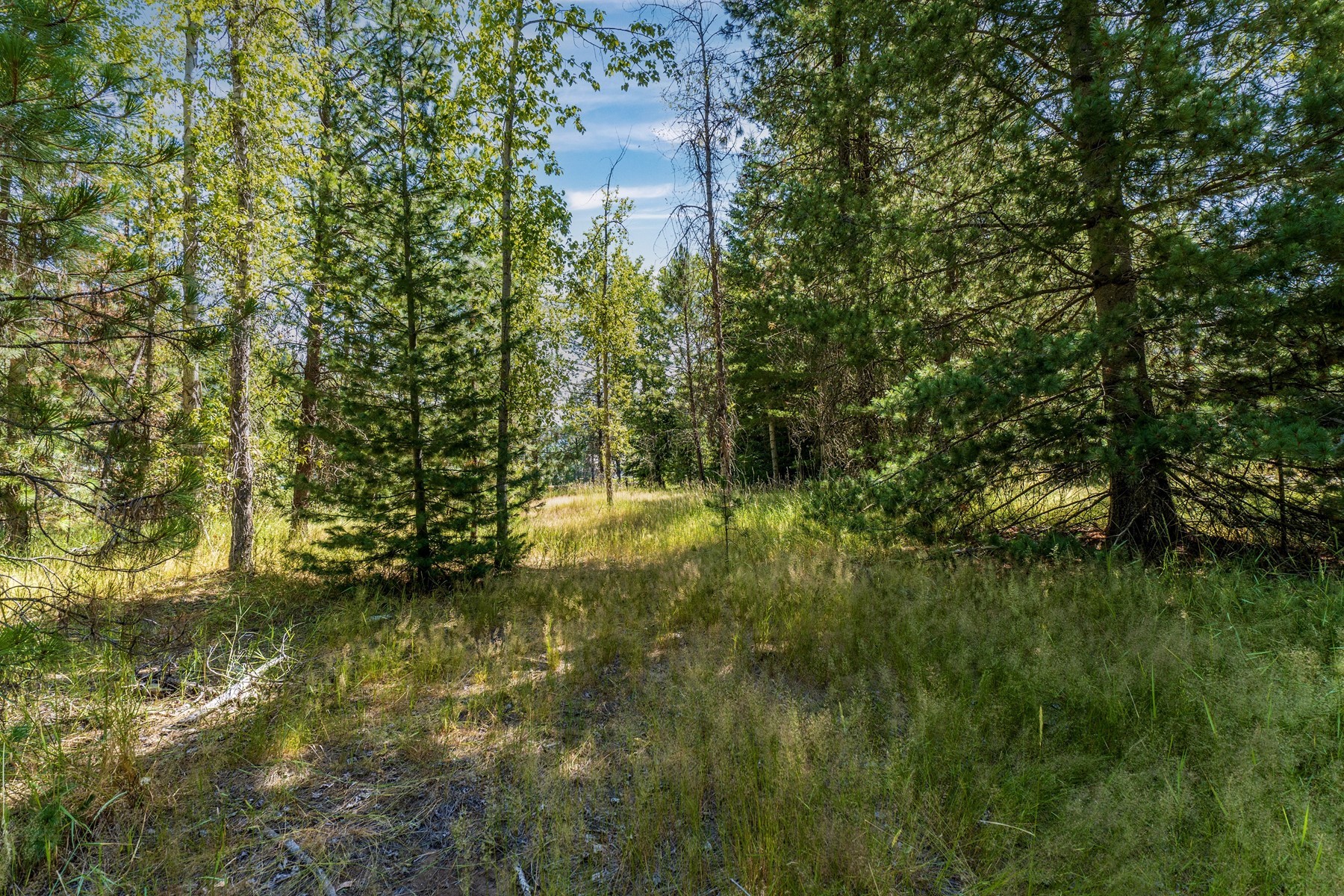  Southfork River Property - 物件實景