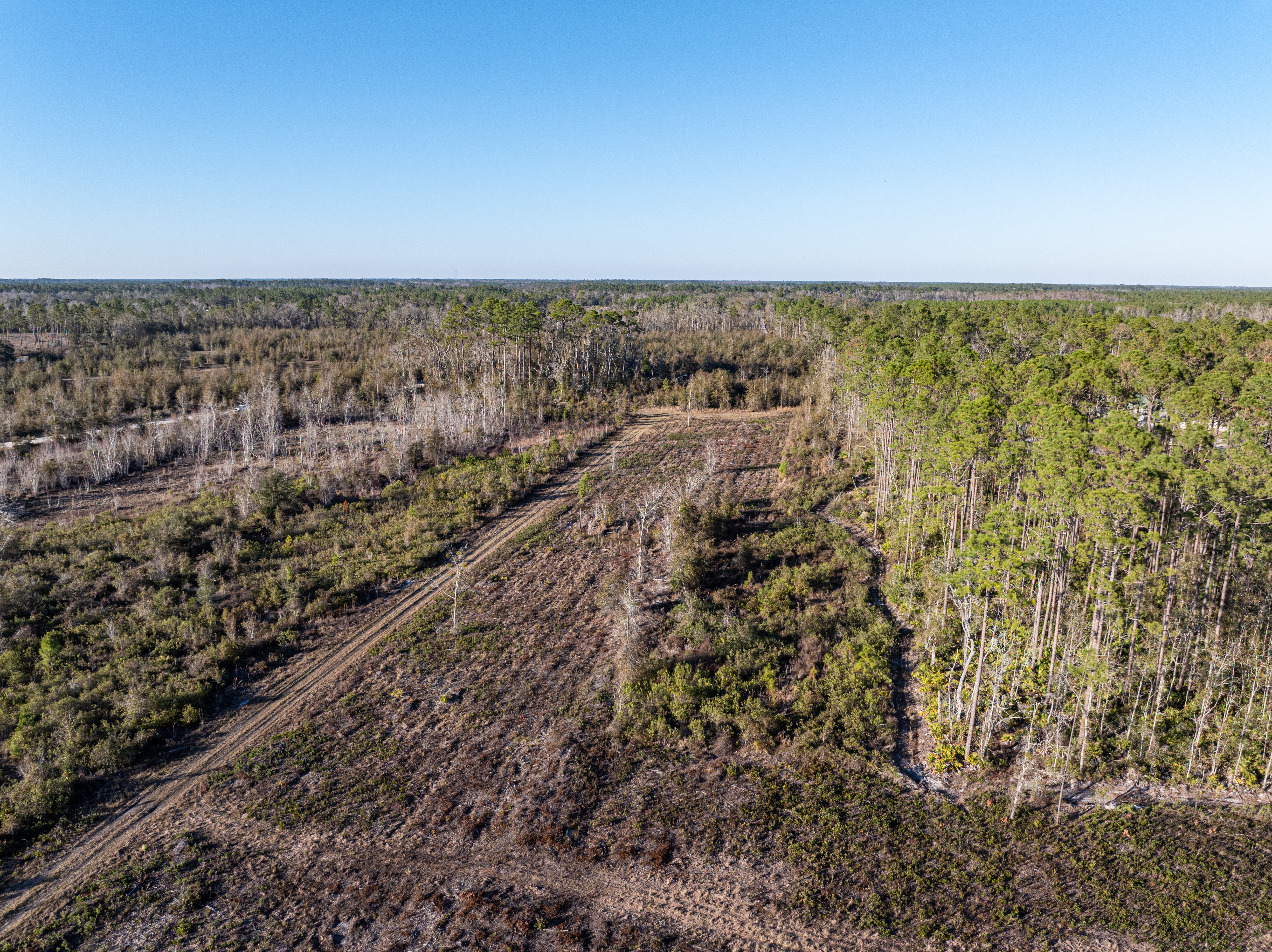 2418 NE OMAR TER, Lake City, Florida, 32055, United States, ,Land,For Sale,2418 NE OMAR TER,1680072