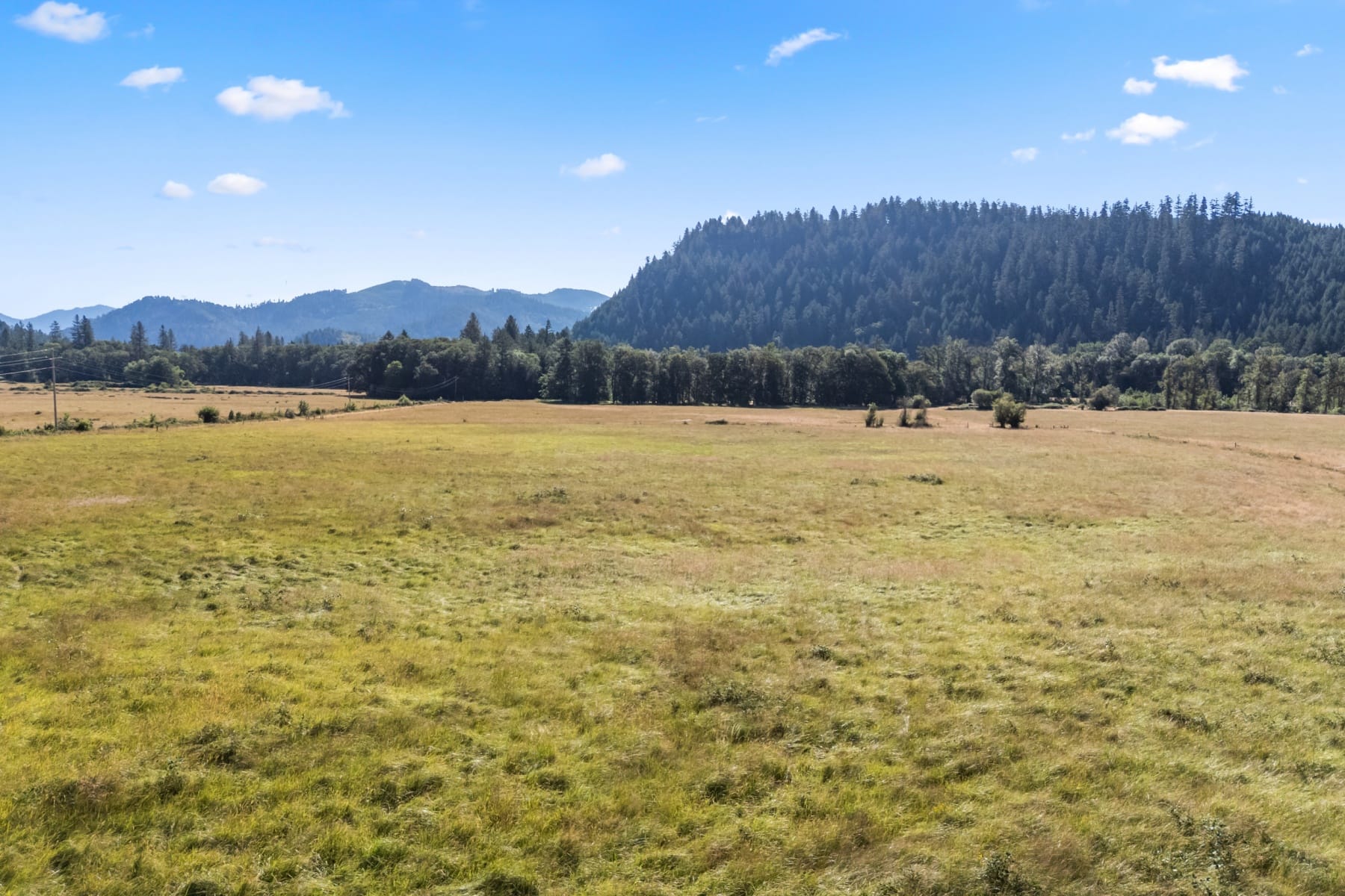  706 Creek Road Azalea, OR 97410 - 物件實景