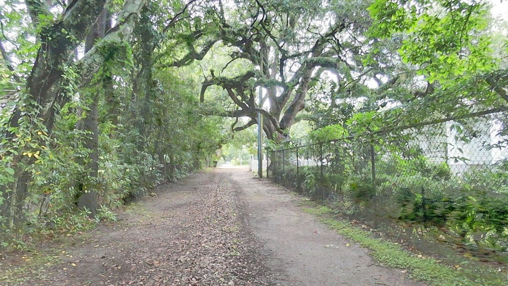 Thomasville, Georgia, 31792, United States, 3 Bedrooms Bedrooms, ,3 BathroomsBathrooms,Residential,For Sale,2005242