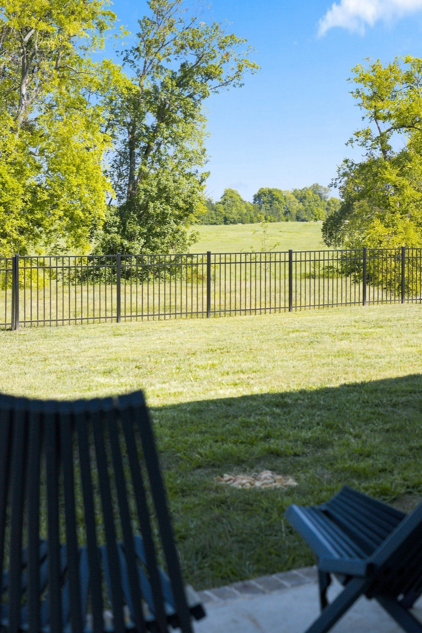  3287 Sassafras Ln, Thompsons Station, TN, 37179 - 物件實景