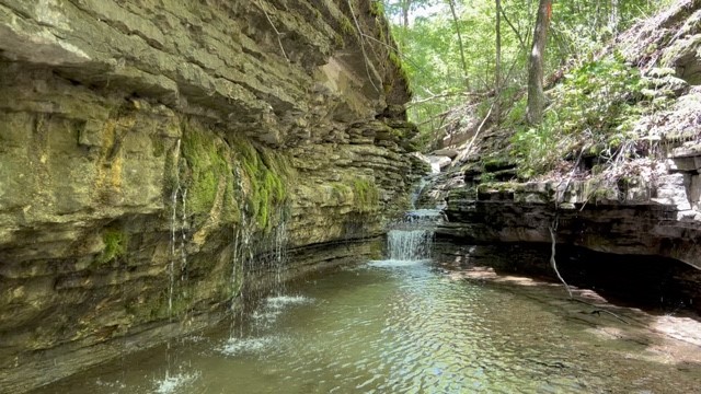 Garfield, Arkansas, 72732, United States, ,Land,For Sale,1804669