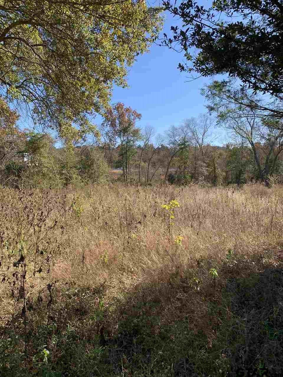 TBD CR 472 & I20, Lindale, Texas, 75771, United States, ,Land,For Sale,TBD CR 472 & I20,1673371