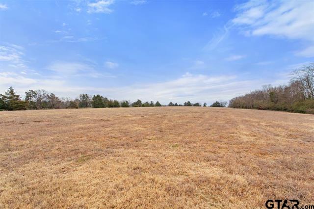 Van, Texas, 75790, United States, ,Land,For Sale,1981017
