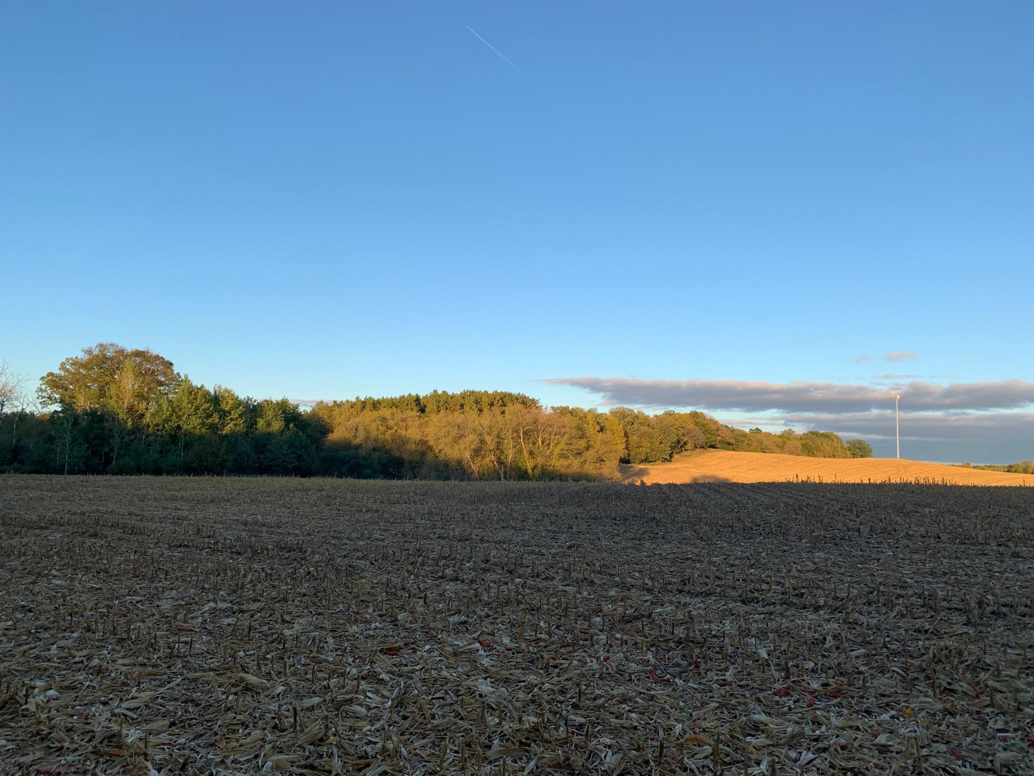 Tbd 75th Street NW, Oronoco Twp, Minnesota, 55901, United States, ,Land,For Sale,Tbd 75th Street NW,1626085