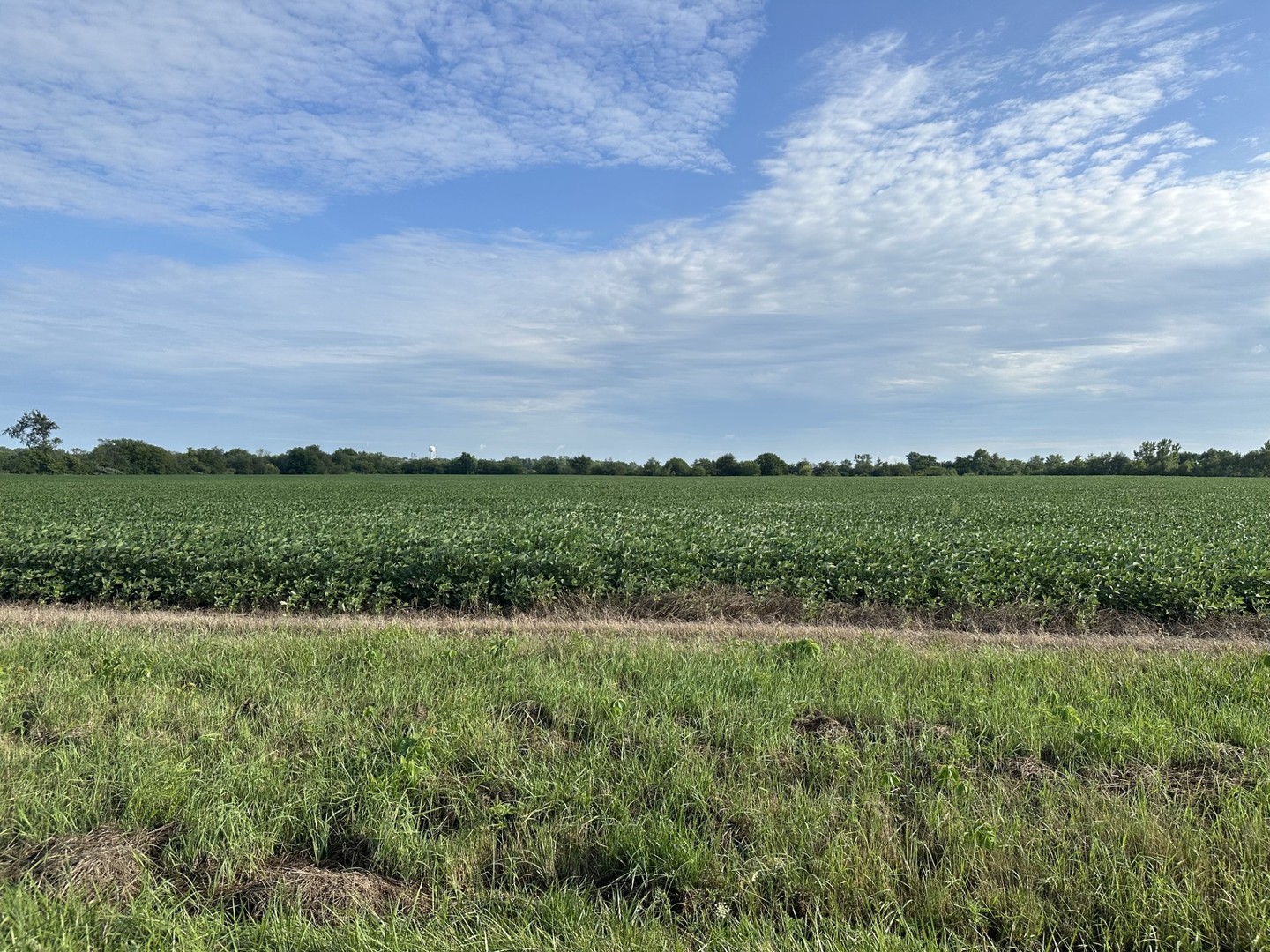 Beecher, Illinois, 60401, United States, ,Residential,For Sale,1907439