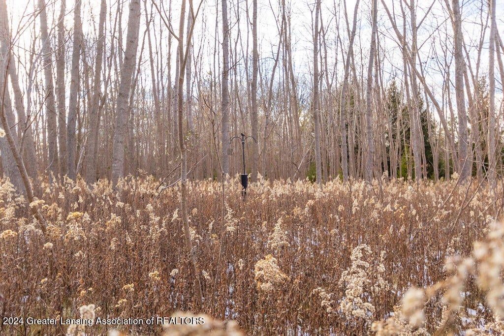 109 Daggertail Lane, Okemos, Michigan, 48864, United States, 4 Bedrooms Bedrooms, ,Residential,For Sale,109 Daggertail Lane,1668513