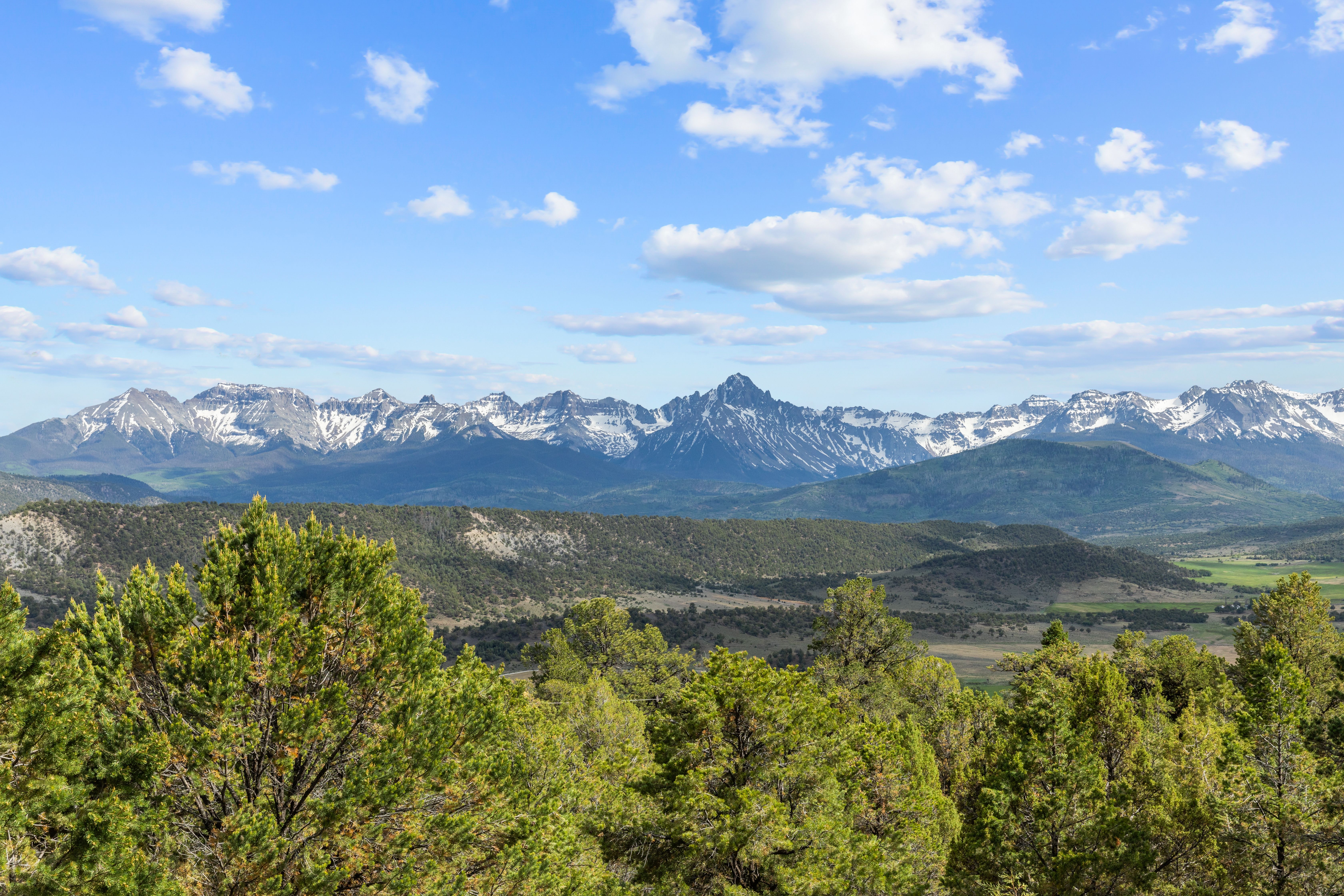  A Rare Find in Ridgway - Privacy, Space, Luxury and Panoramic Views on Acreage - 物件實景