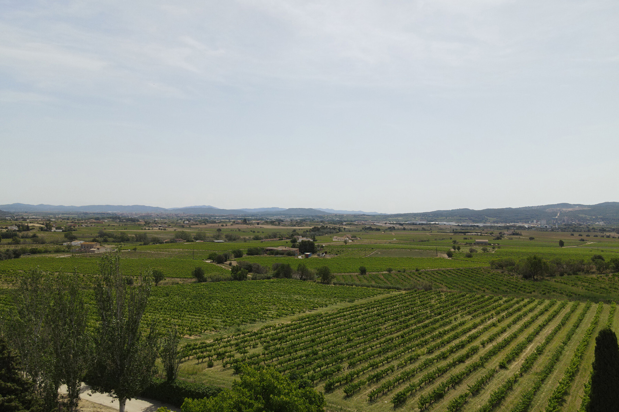  Equestrian Rural Gem in Castellví de la Marca, Only 5 Minutes from Vilafranca - 物件實景