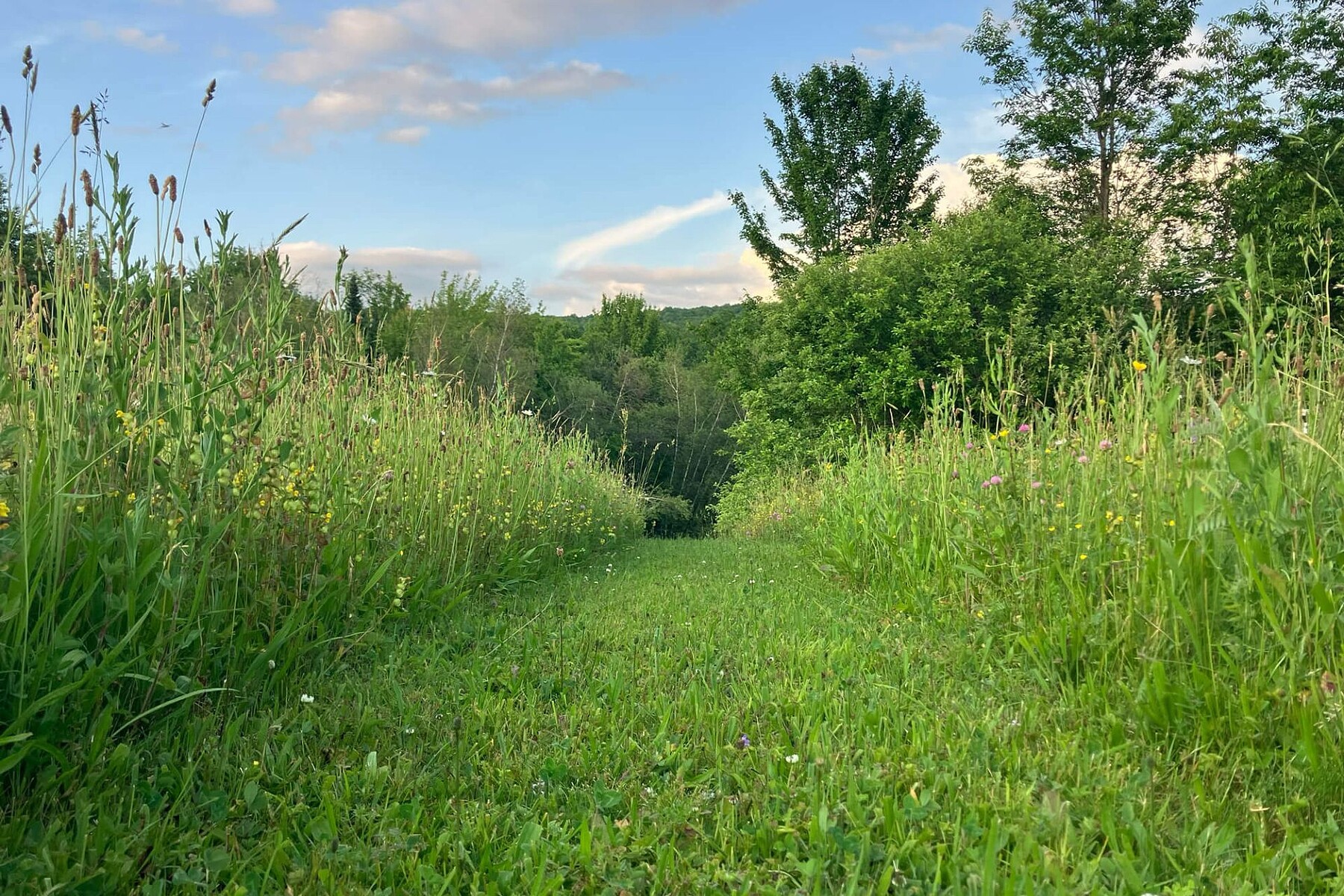  Potton, Eastern Townships - 物件實景