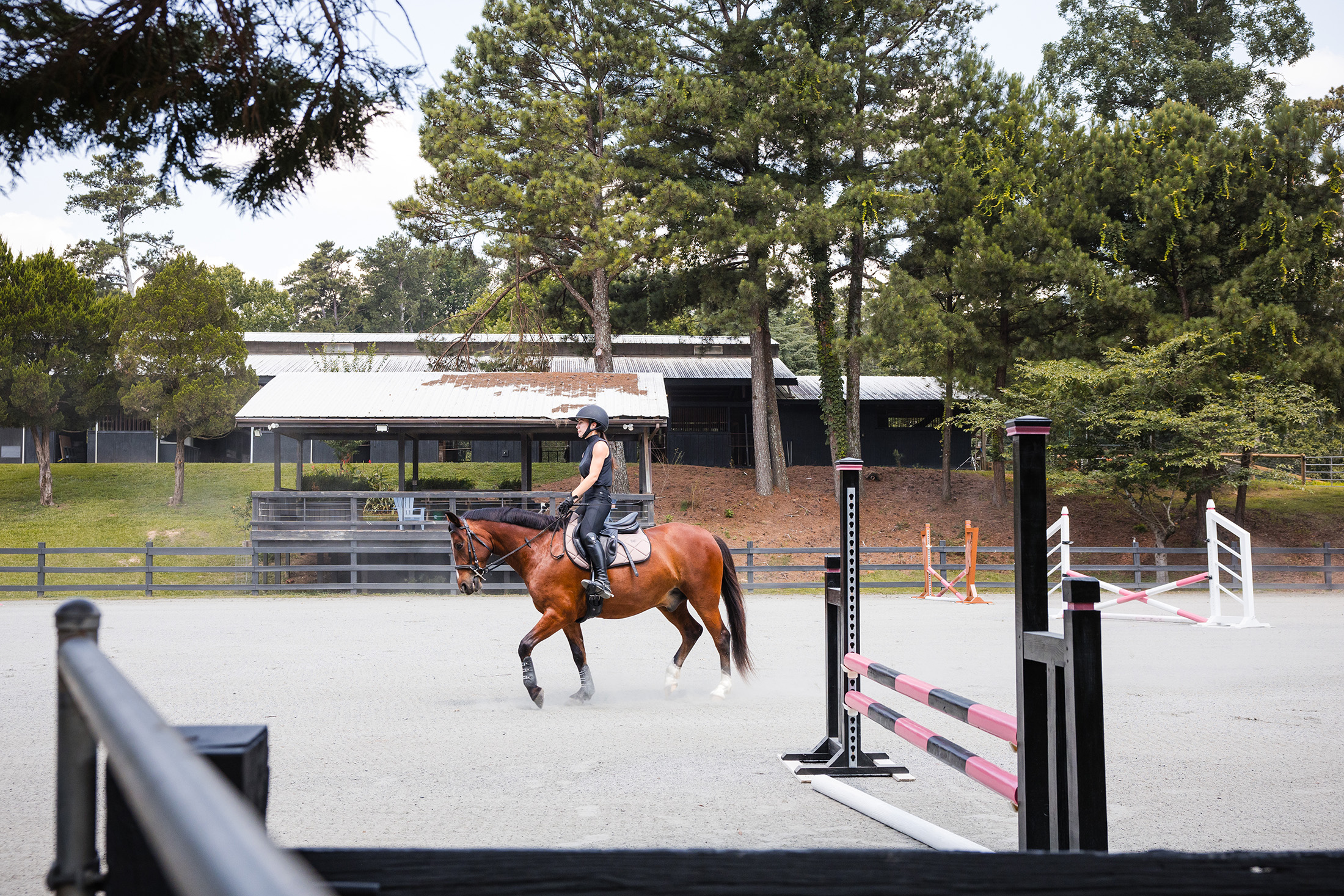  Rare Equestrian Facility with Prestigious Address - 物件實景