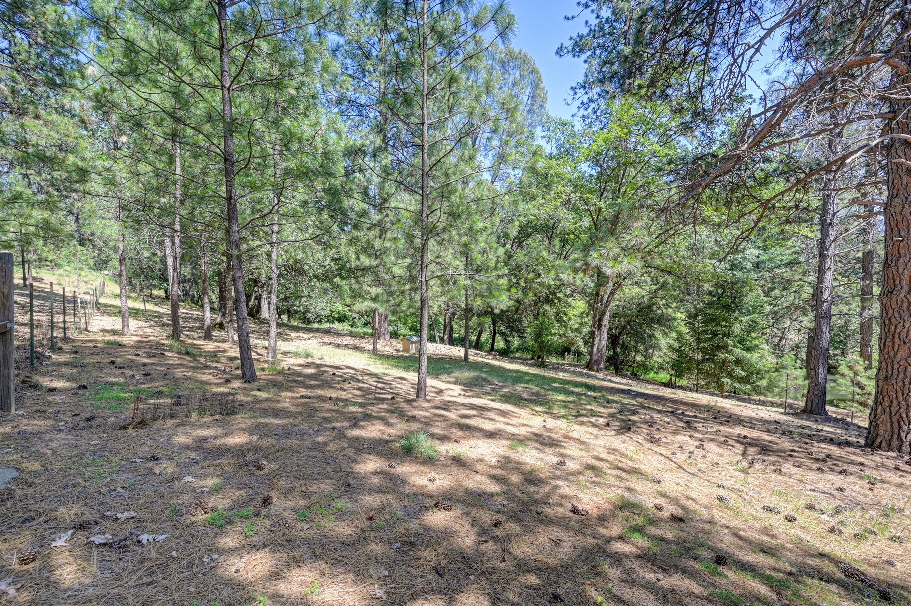  Immaculately Maintained Country Retreat on Acreage with pond - 物件實景