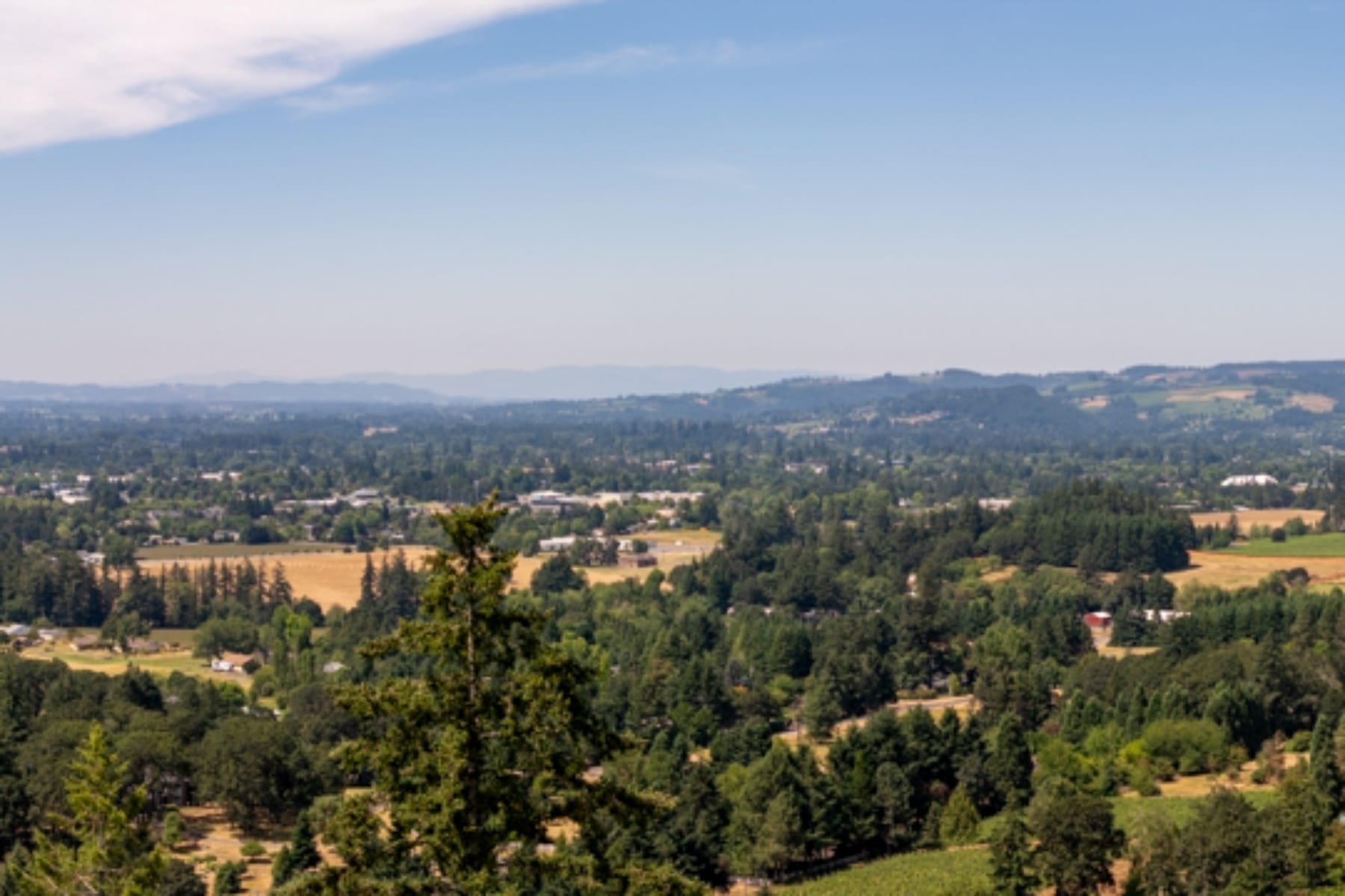  30540 NE BELL RD Newberg, OR 97132 - 物件實景