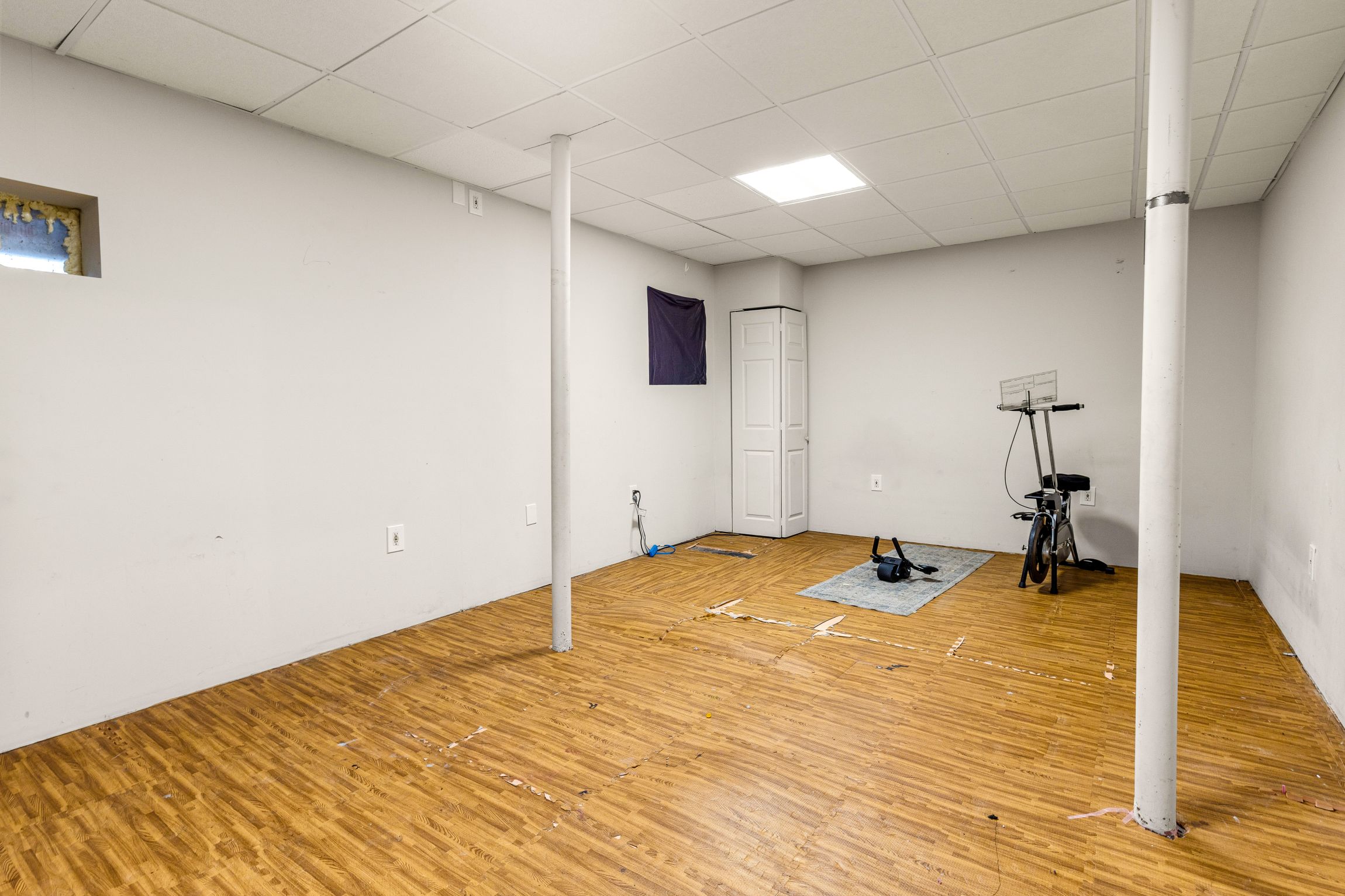  12 Palfrey Street, Boston, MA, 02131 - 物件實景