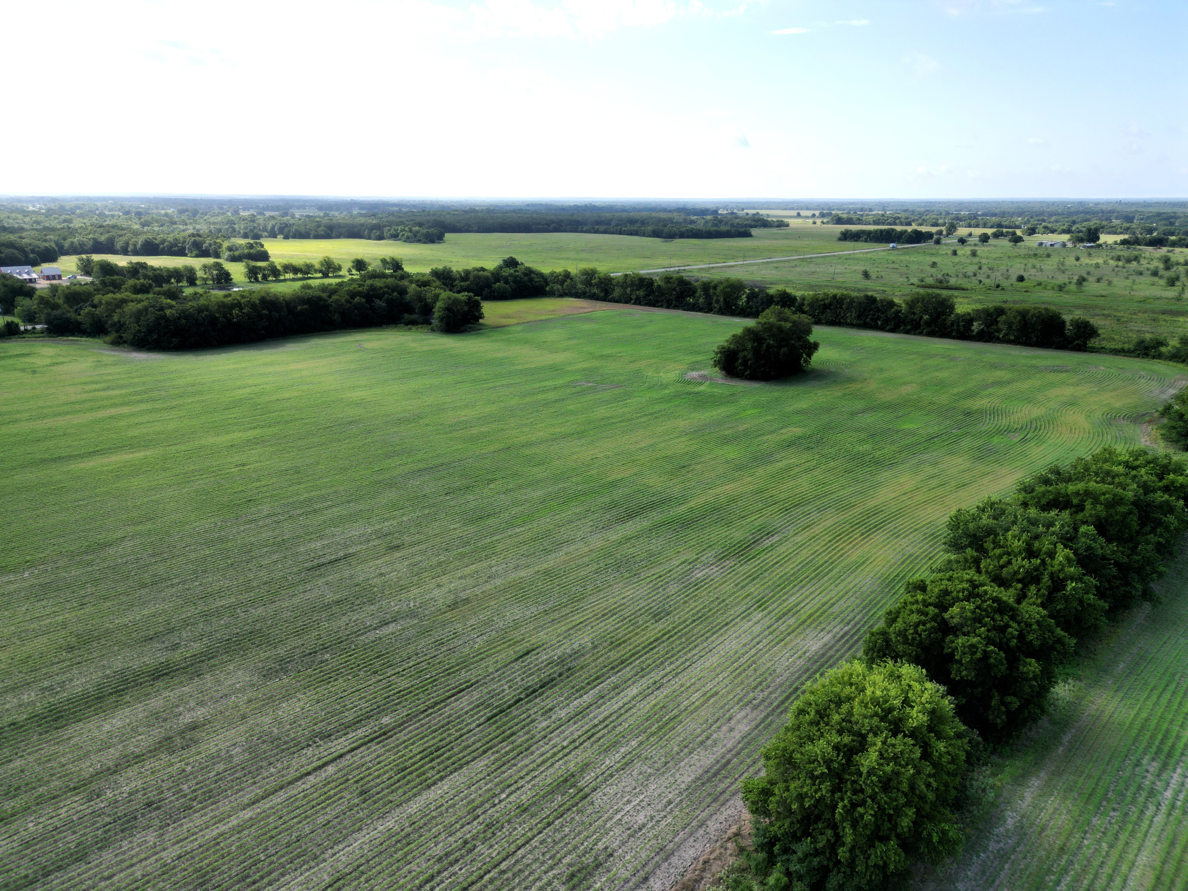 Commerce, Texas, 75428, United States, ,Residential,For Sale,1921218