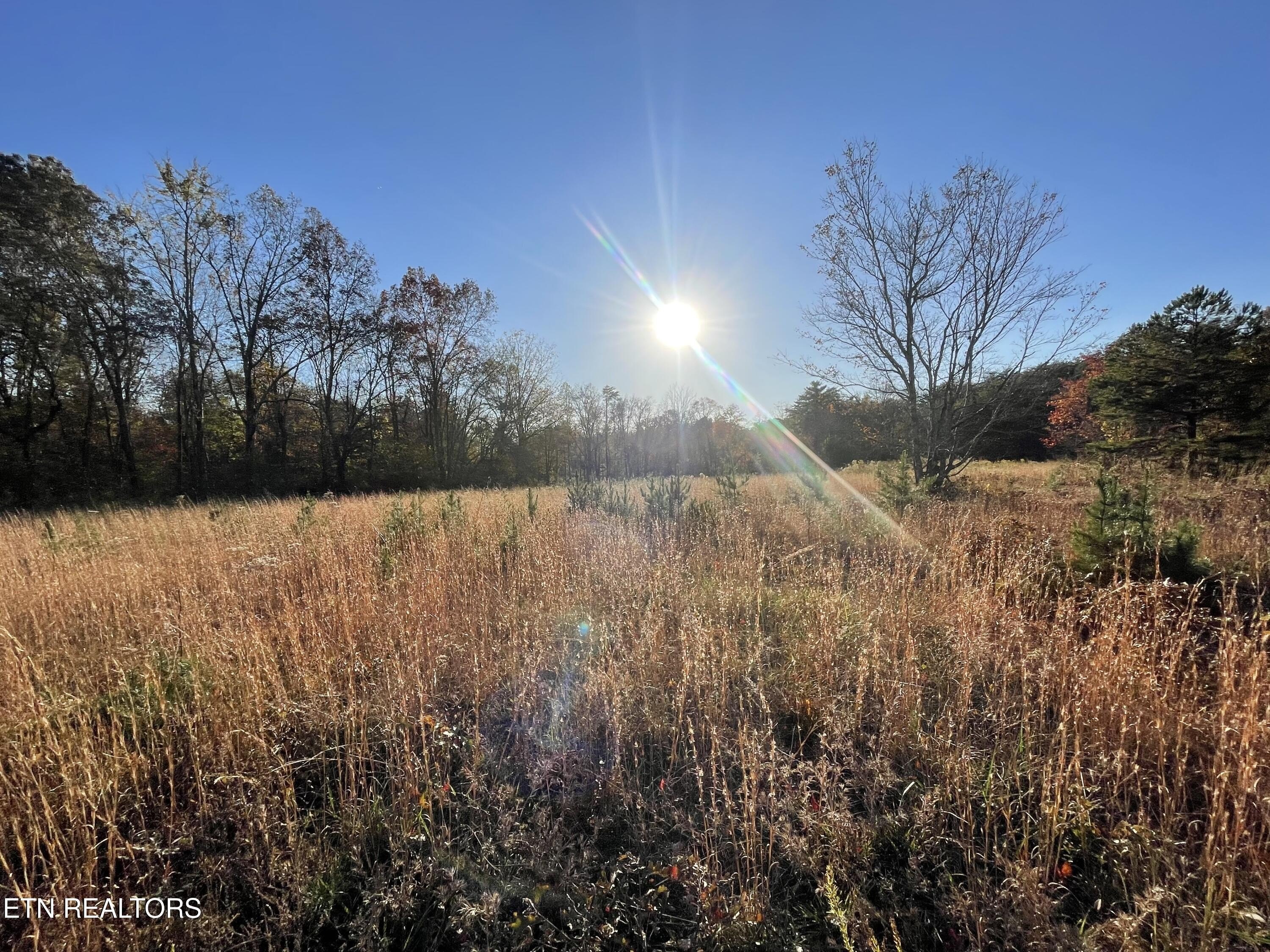 Crossville, Tennessee, 38555, United States, 2 Bedrooms Bedrooms, ,1 BathroomBathrooms,Residential,For Sale,1982388