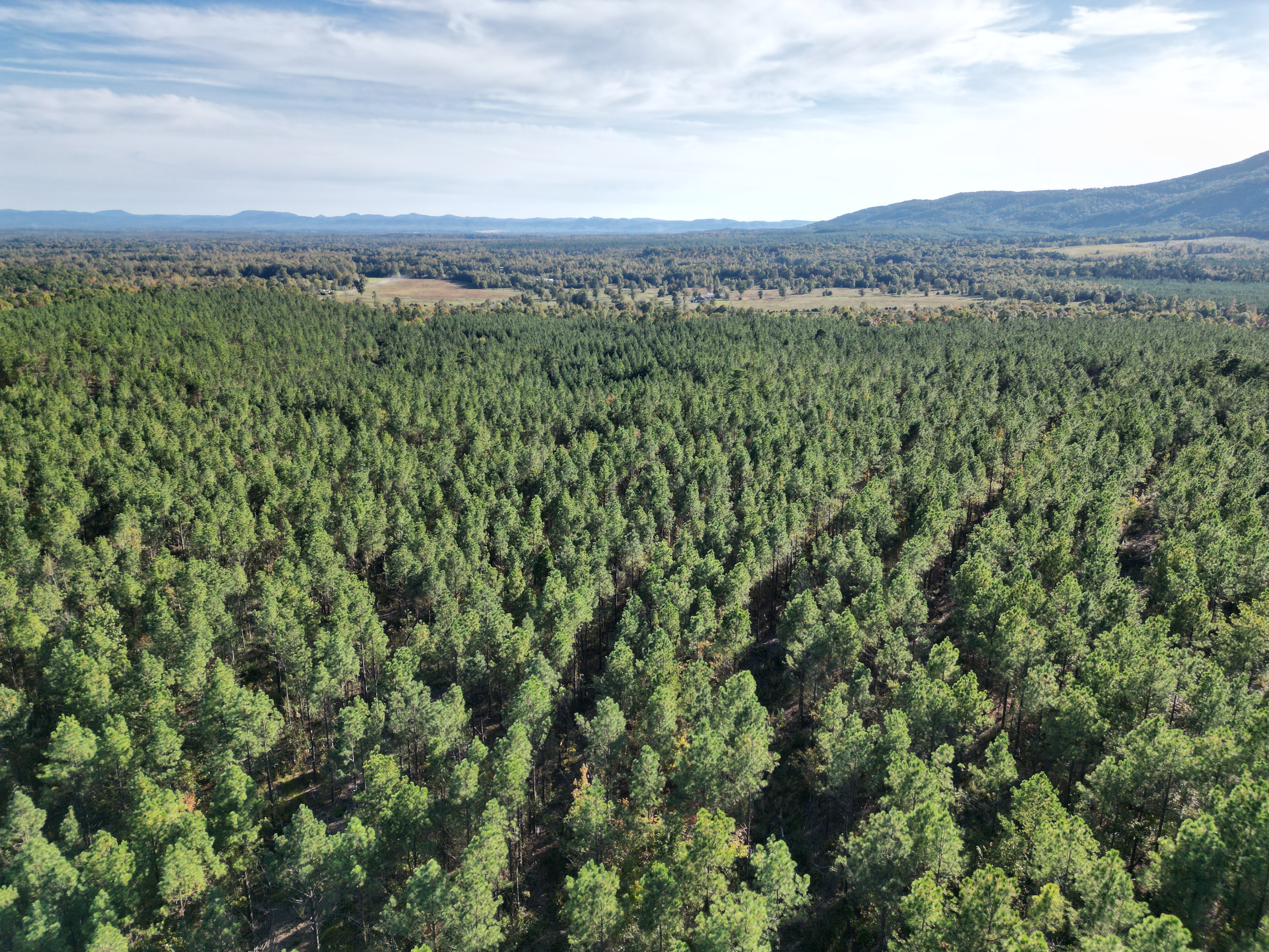 Mena, Arkansas, 71953, United States, ,Land,For Sale,1973758