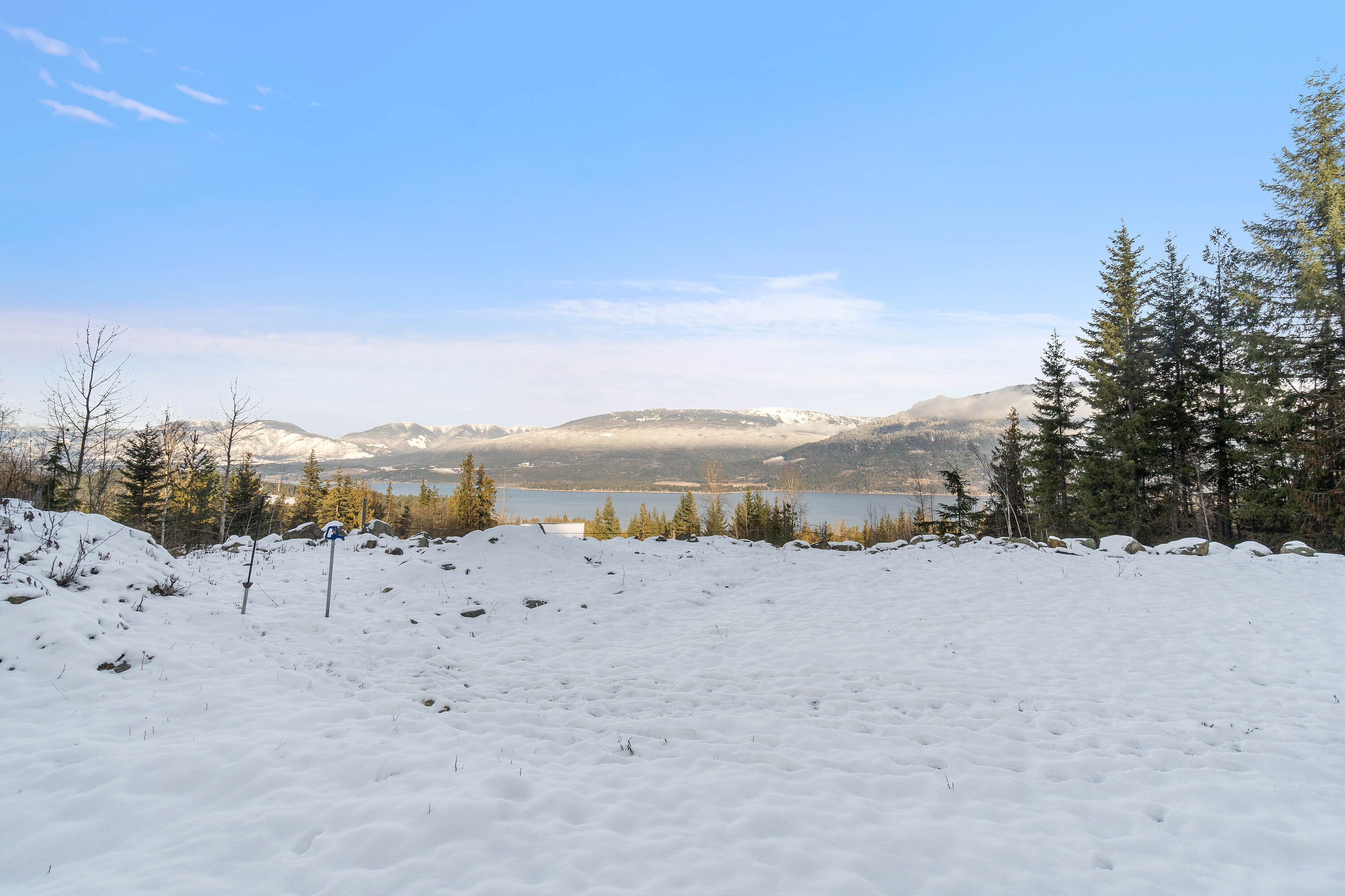  Exceptional Lakeview - 物件實景