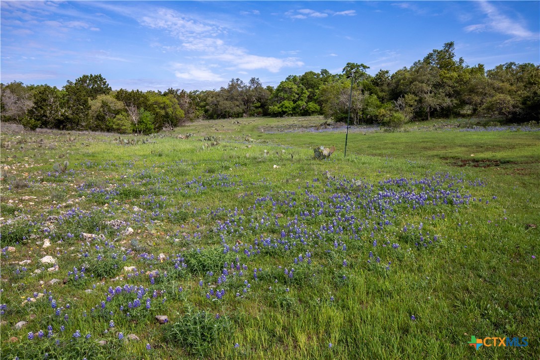 San Marcos, Texas, 78666, United States, ,Land,For Sale,1990898