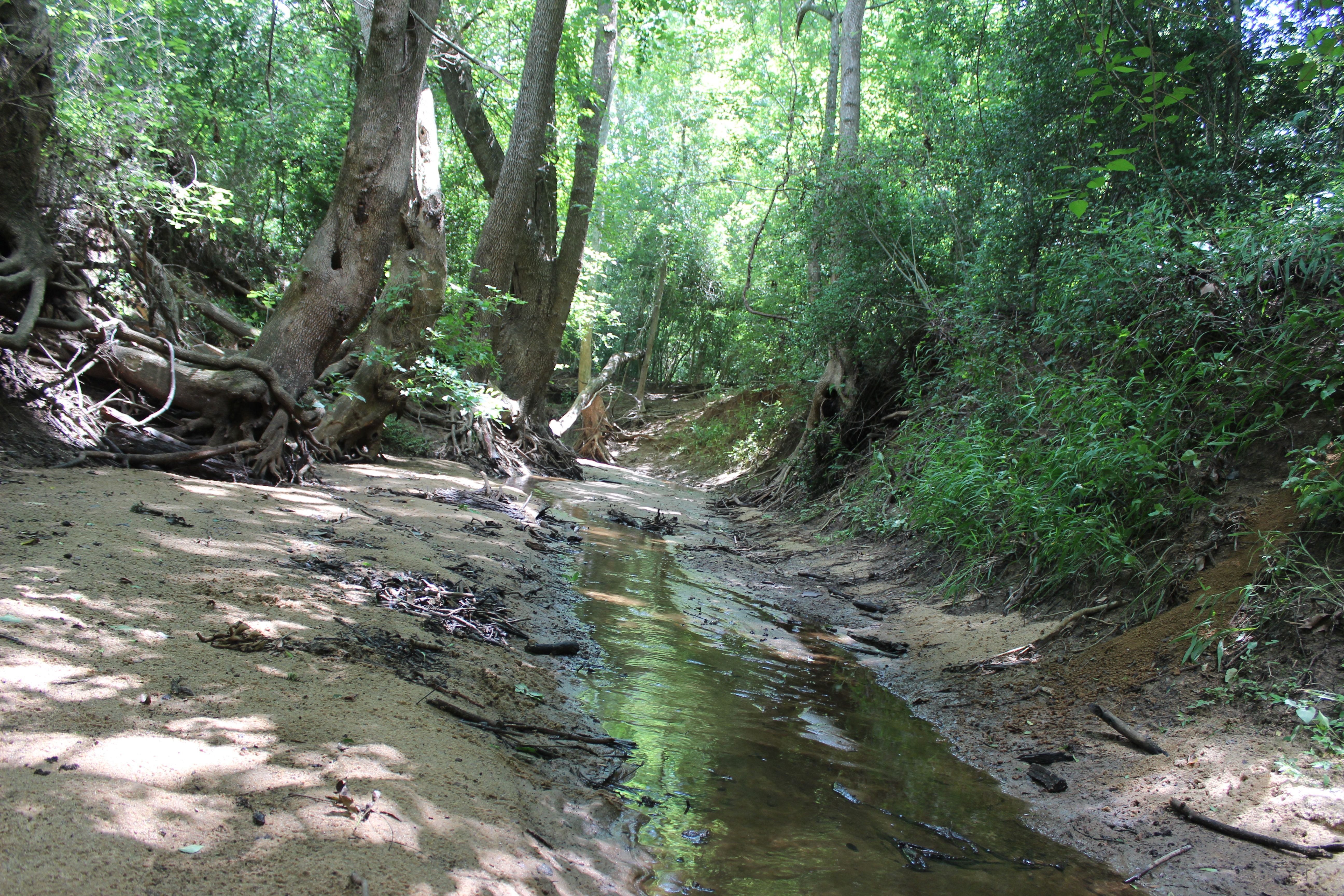  Buck Branch Ranch - 物件實景