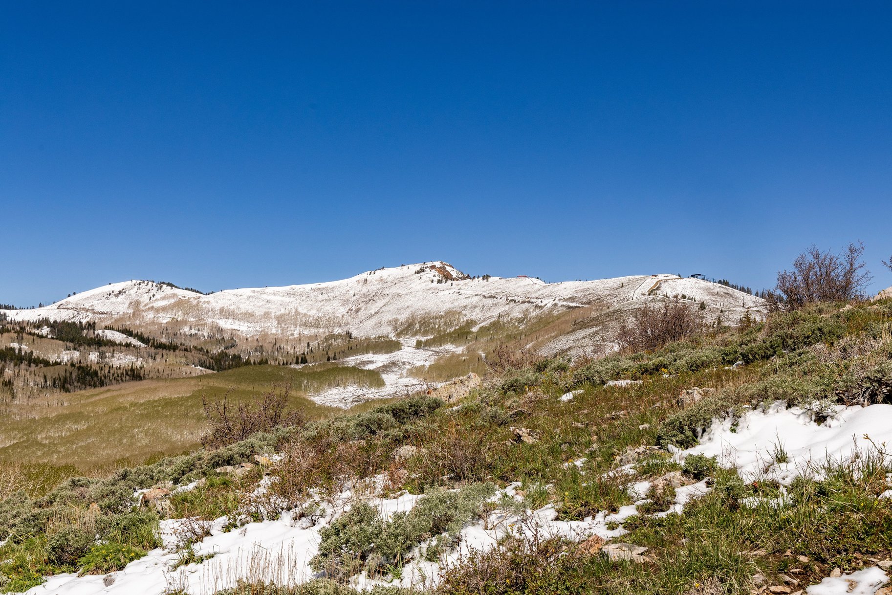  24 Acre Development Parcel in Bonanza Flats - 物件實景